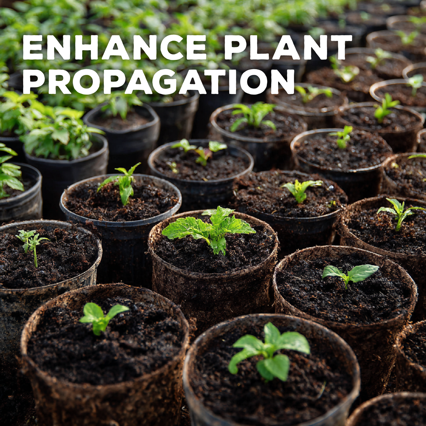 PropaGrow