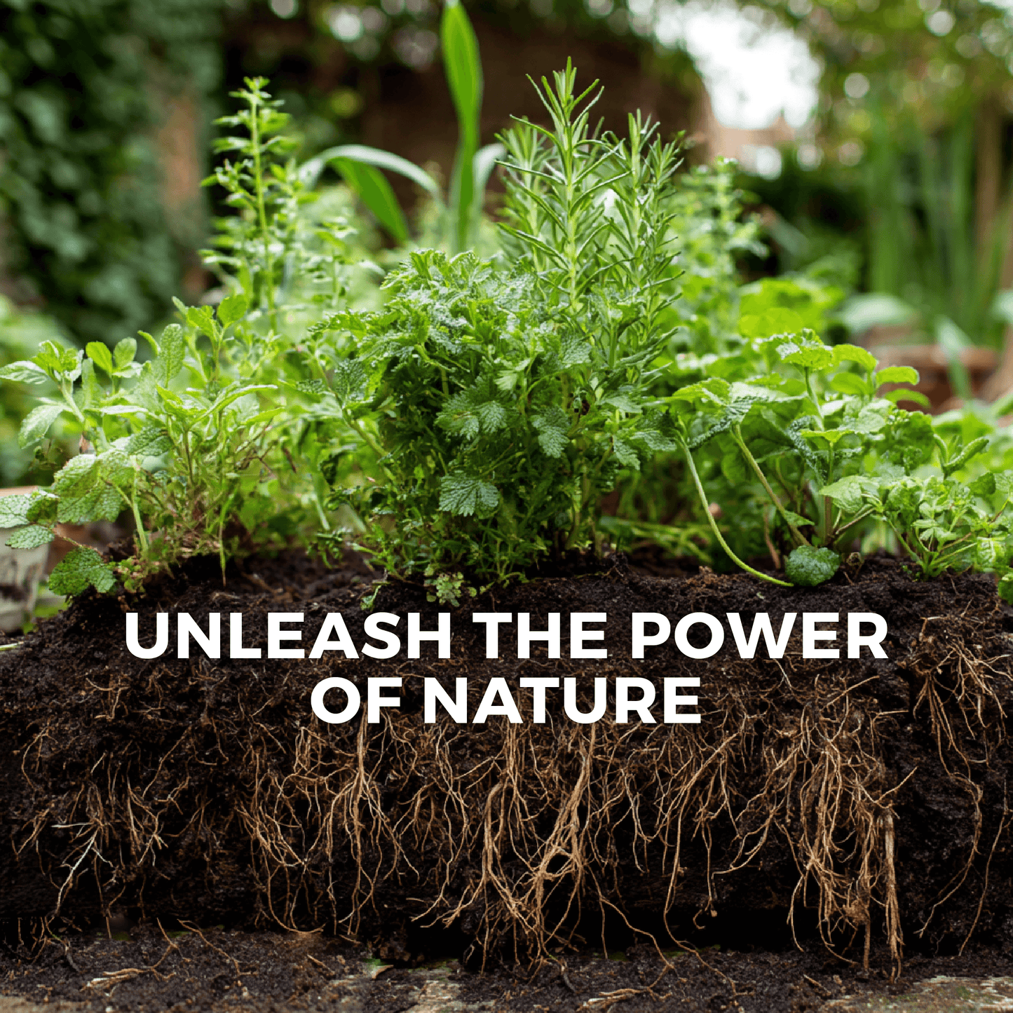 Stoned Ape's Blend Concentrated Organic Soil Amendment Fertilizer and Mycorrhizal Root Enhancer