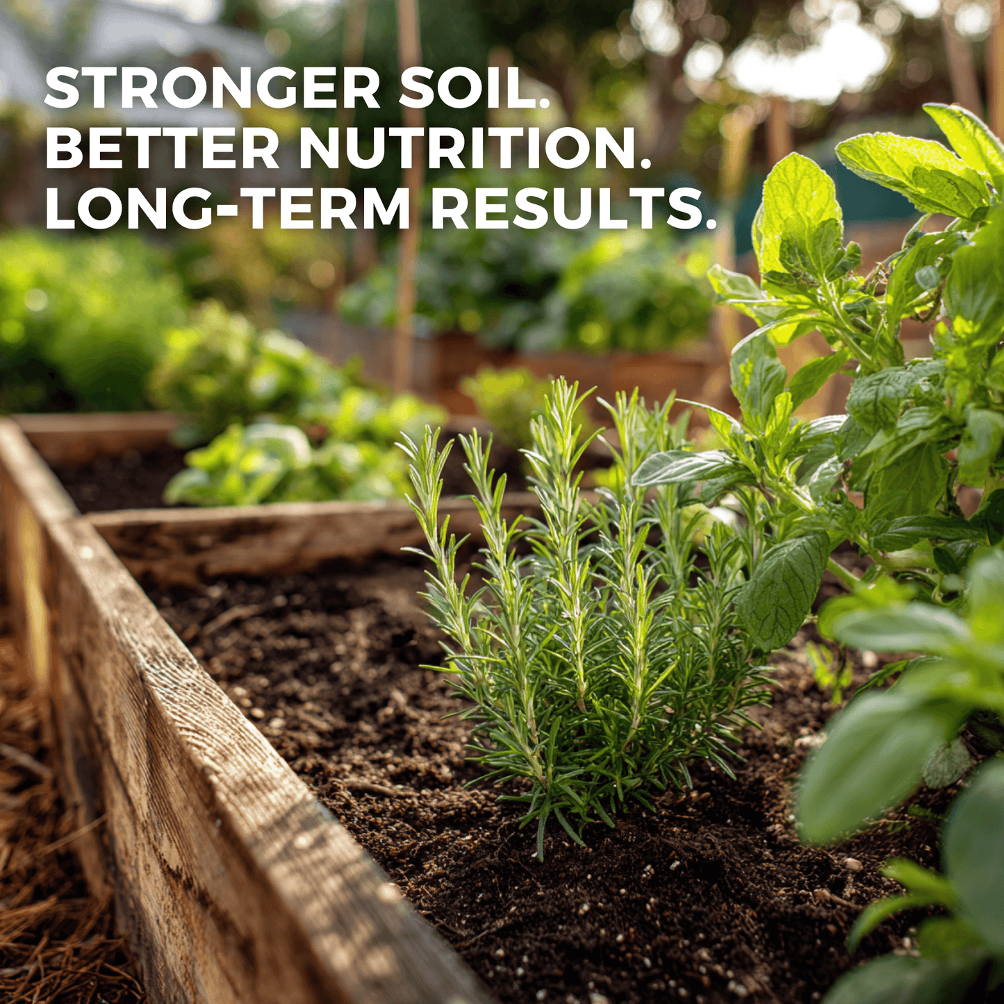 Dan's Gold Organic Dairy Compost