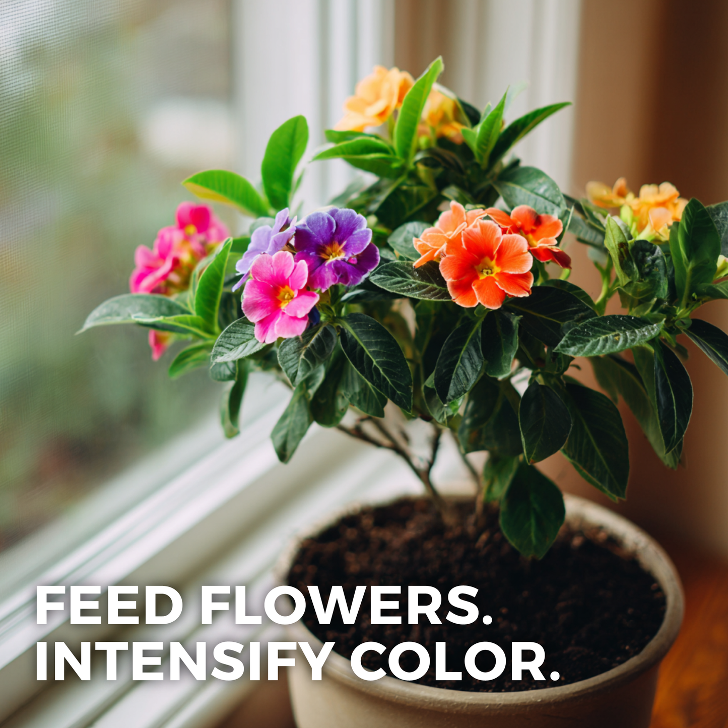 Flower Flourish: Flowering Plant Potting Mix