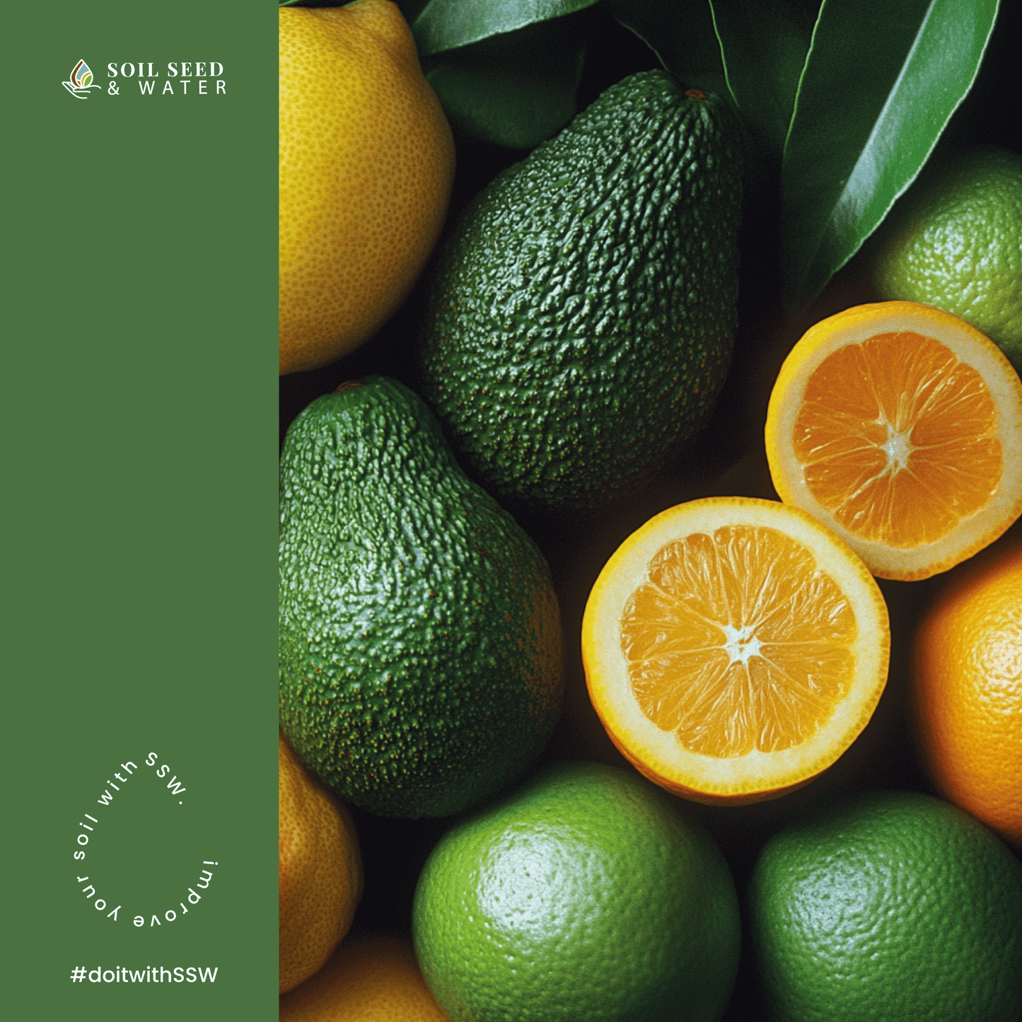 Fertilizante orgánico concentrado para mejorar el suelo de árboles de aguacate y cítricos Secret Blend de Seriokai
