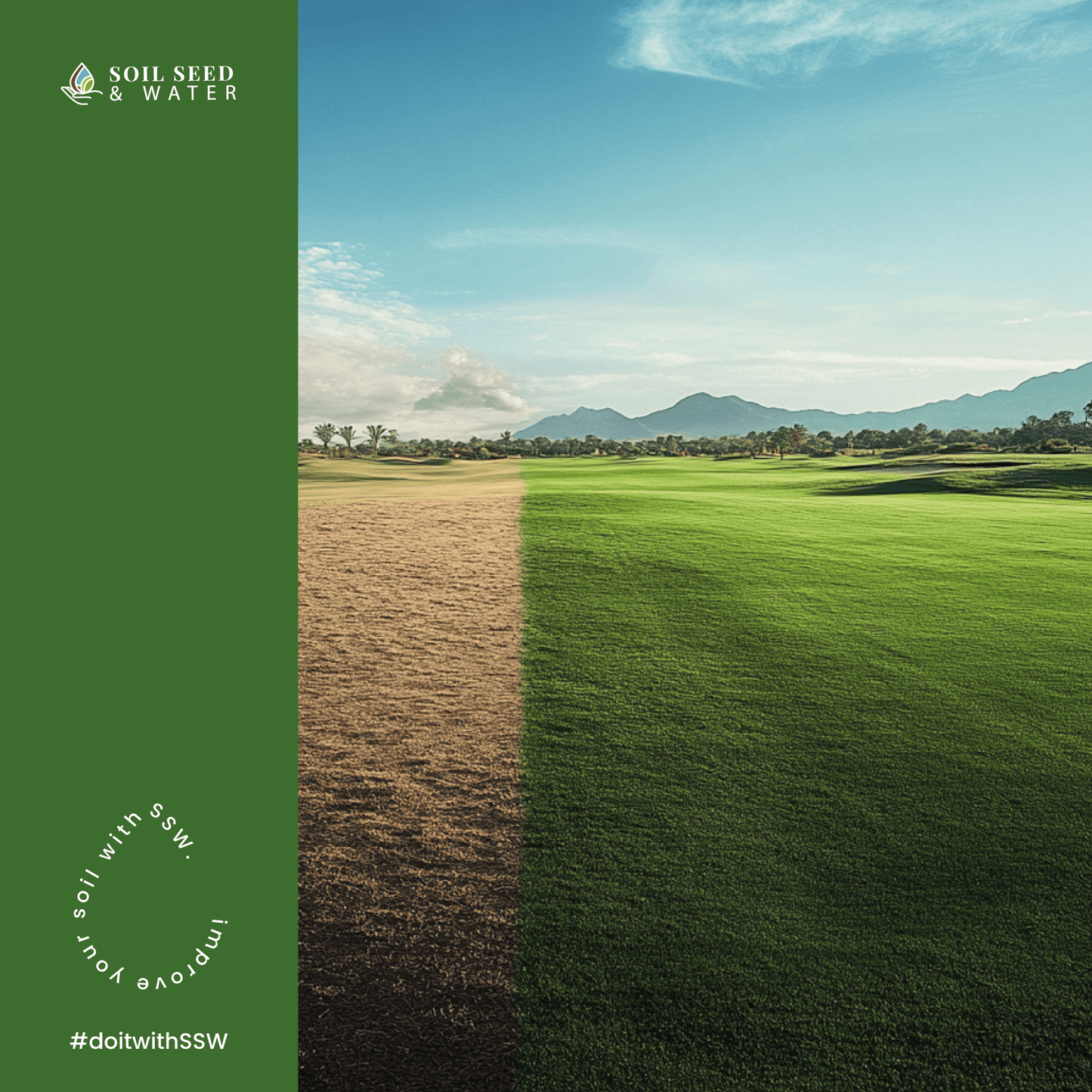Turf Daddy Concentrated Organic Soil Amendment Fertilizer