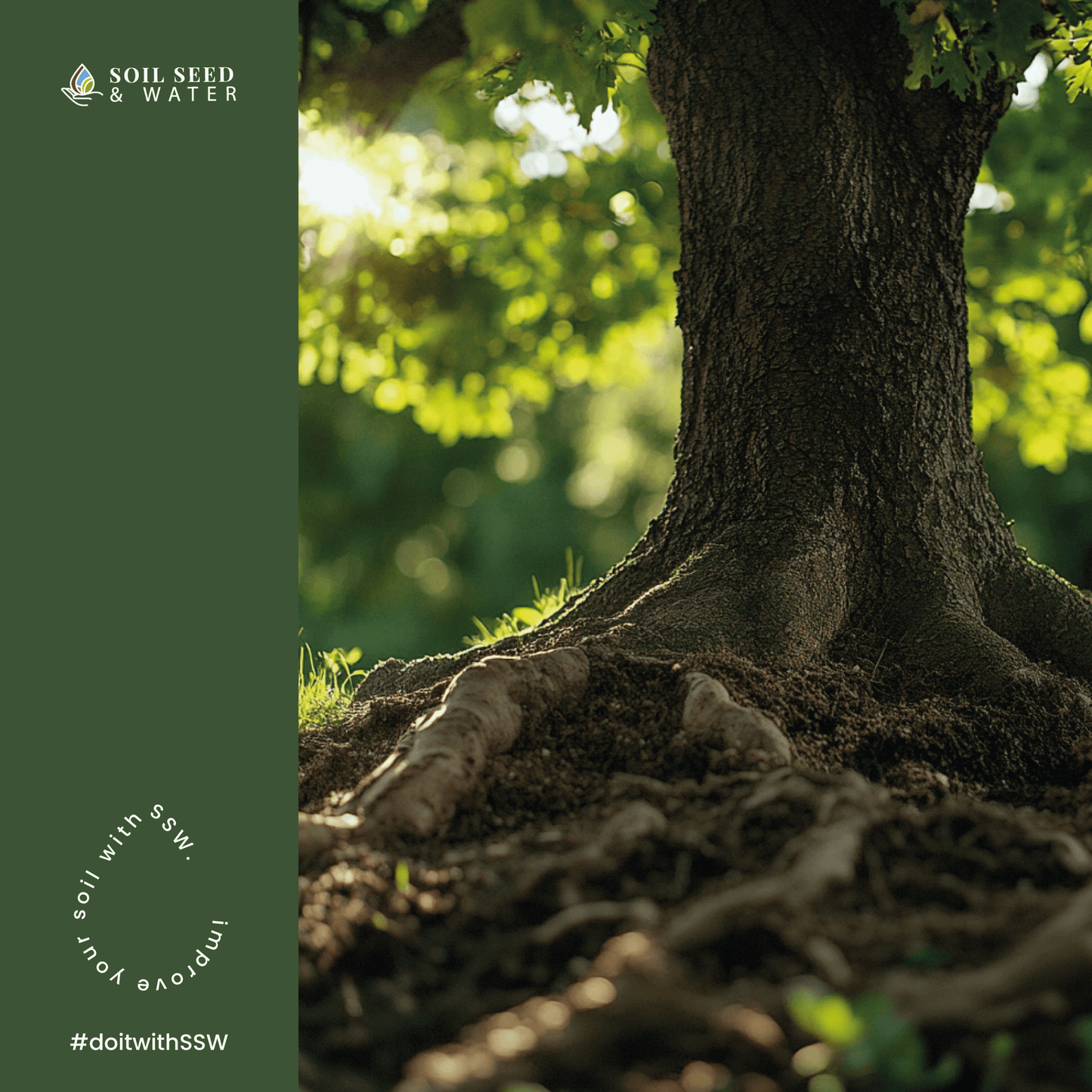 Fertilizante orgánico concentrado para mejorar el suelo de árboles y arbustos Artemis RootBoost