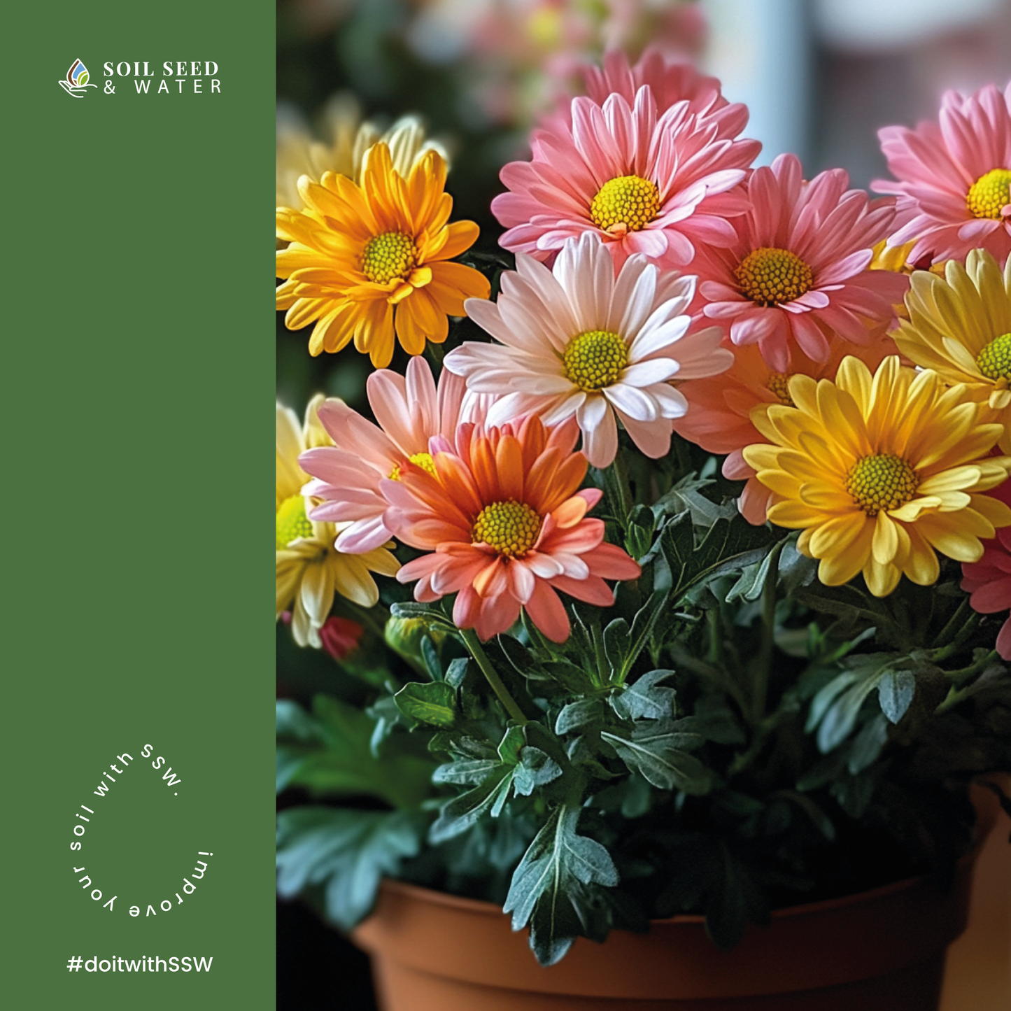 Flower Flourish: Flowering Plant Potting Mix
