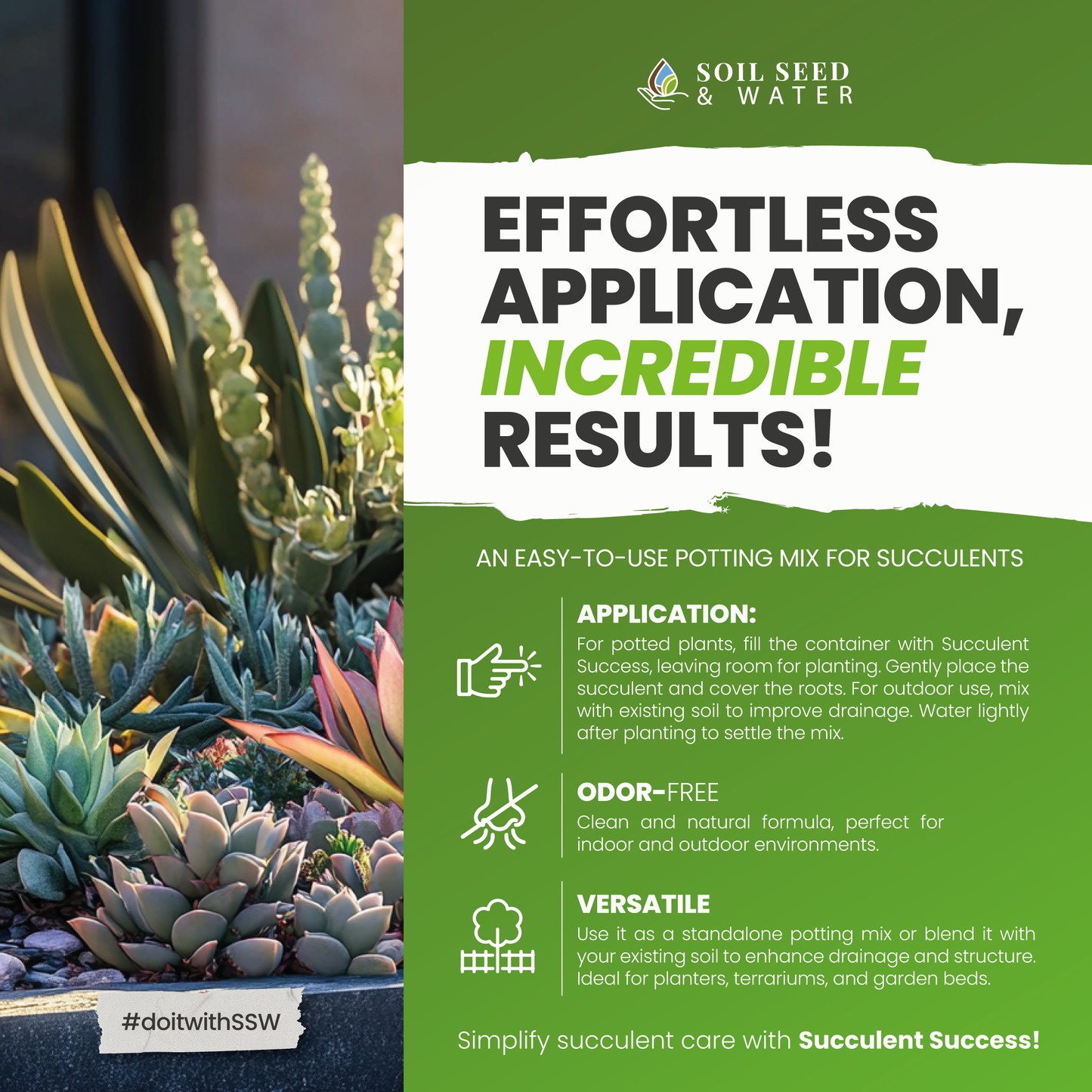 Succulent Success: Succulent Potting Mix
