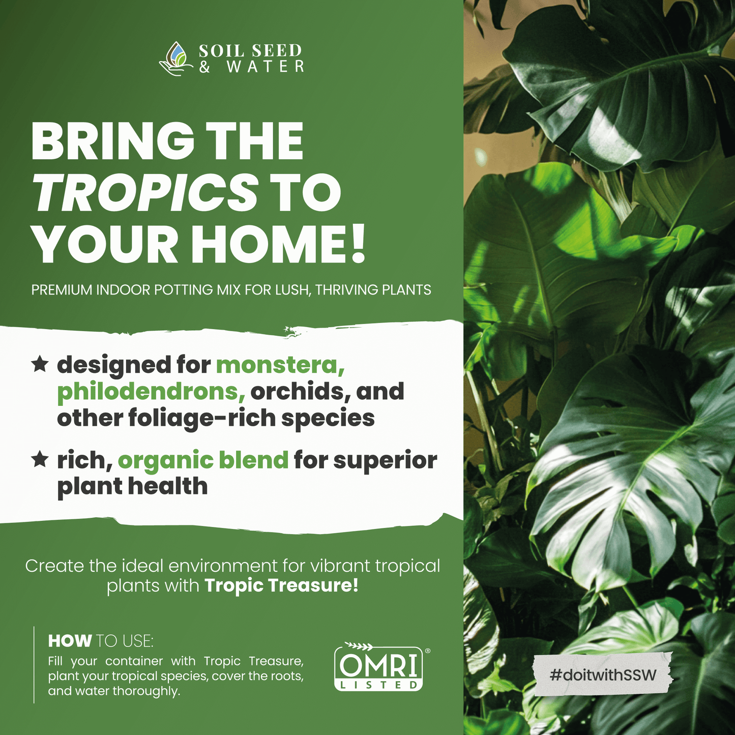 Tropic Treasure: Tropical Plant Interior Potting Mix