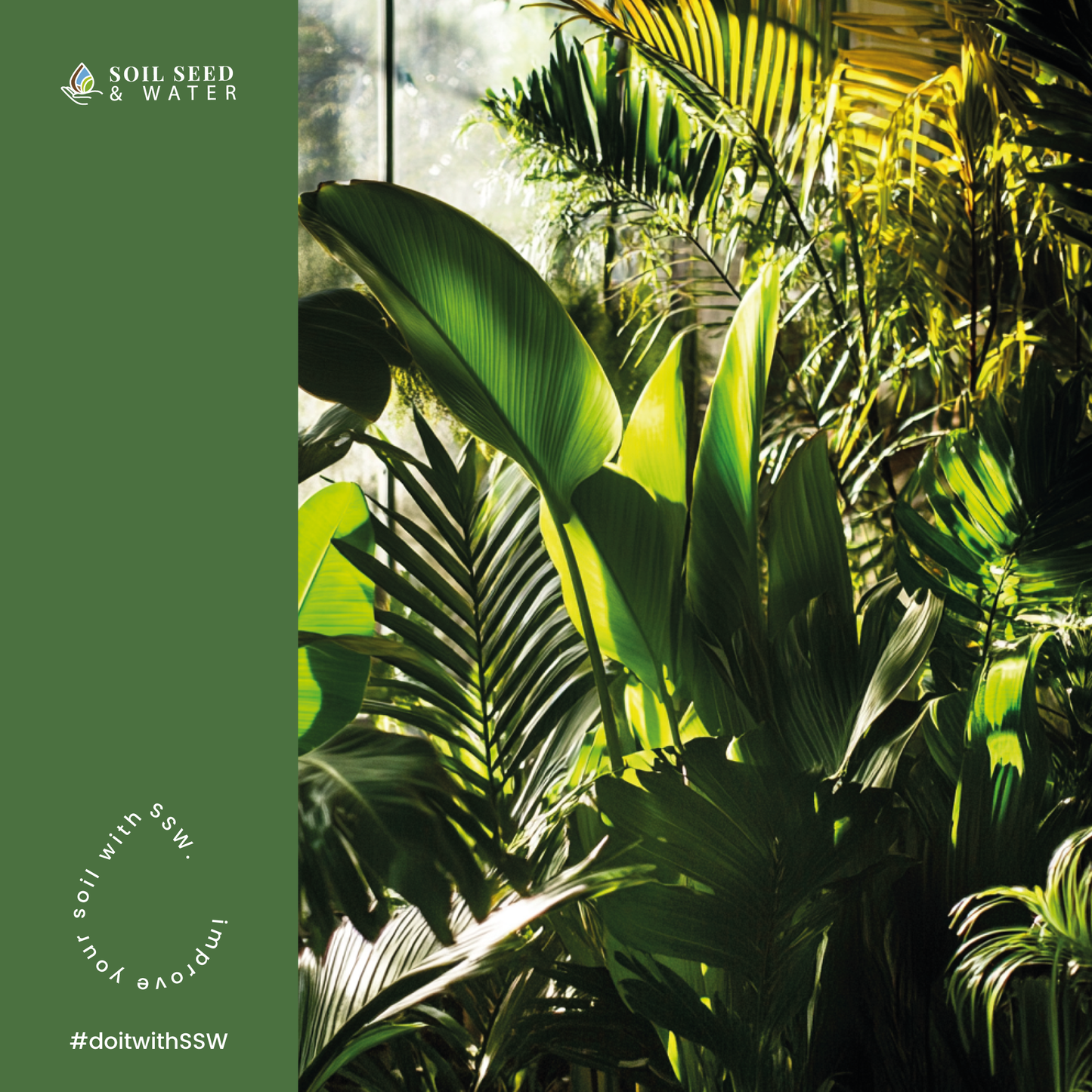 Tropic Treasure: Tropical Plant Interior Potting Mix