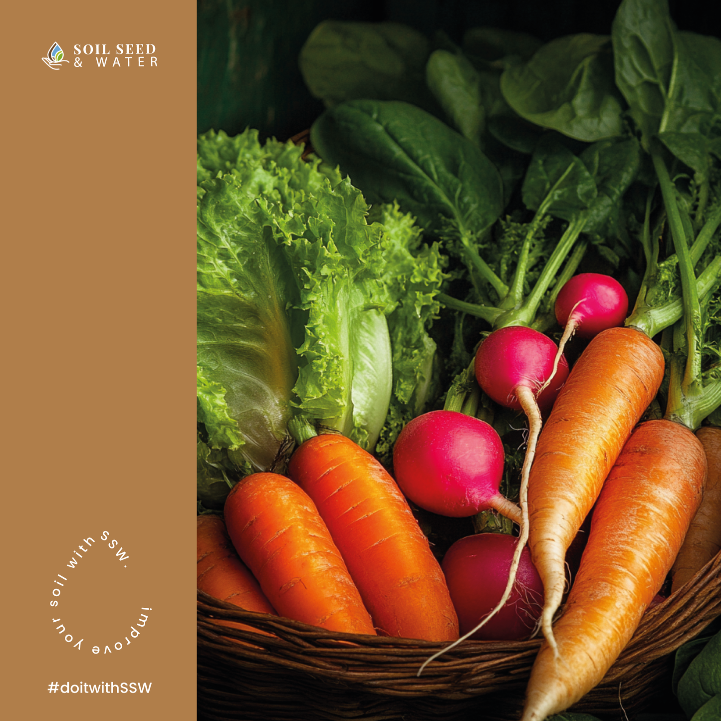 Dessert Defender: Drought Resilience Soil Amendment