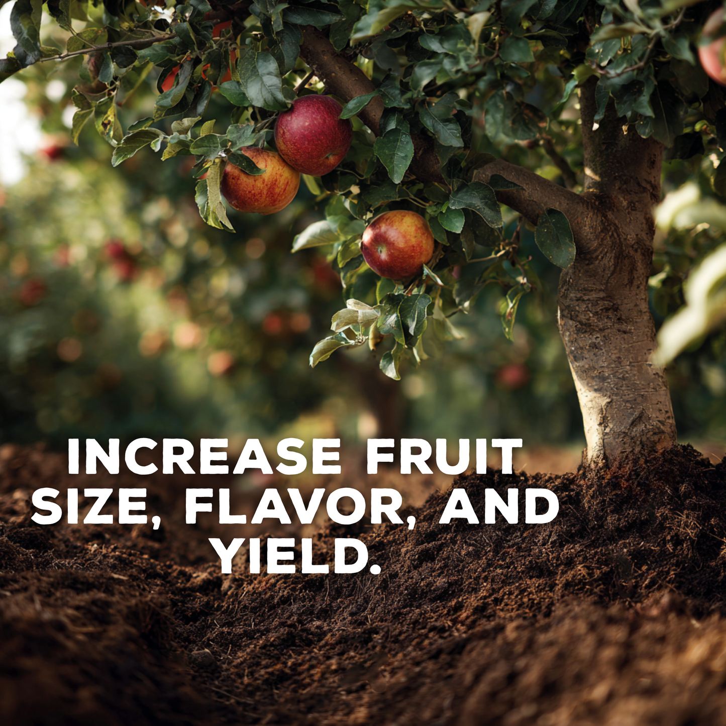 Pomona Blend Concentrated Organic Soil Amendment Fertilizer for Pome & Stone Fruit Trees