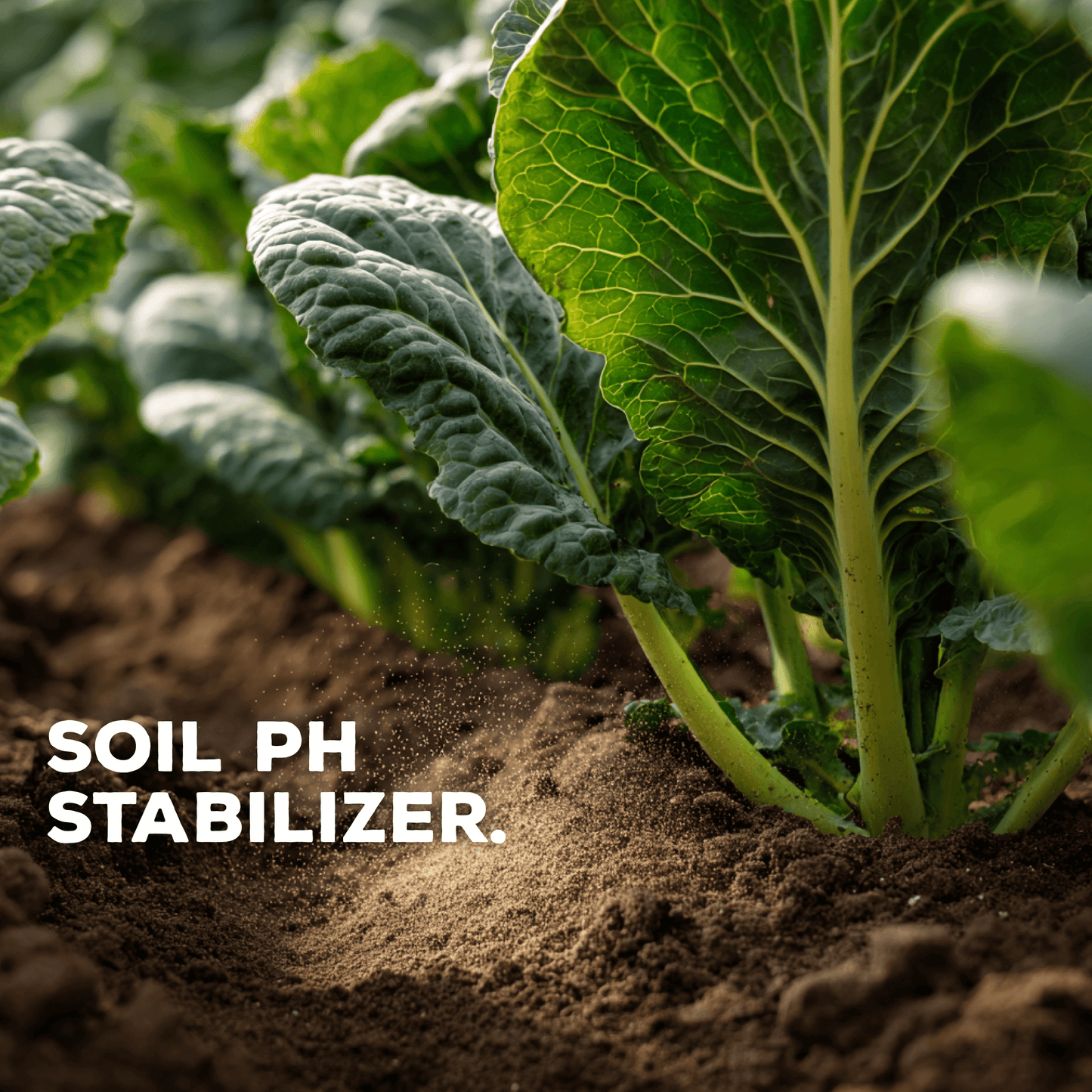 SKMicrosource: Sulfur-Potassium Nutrition Boost