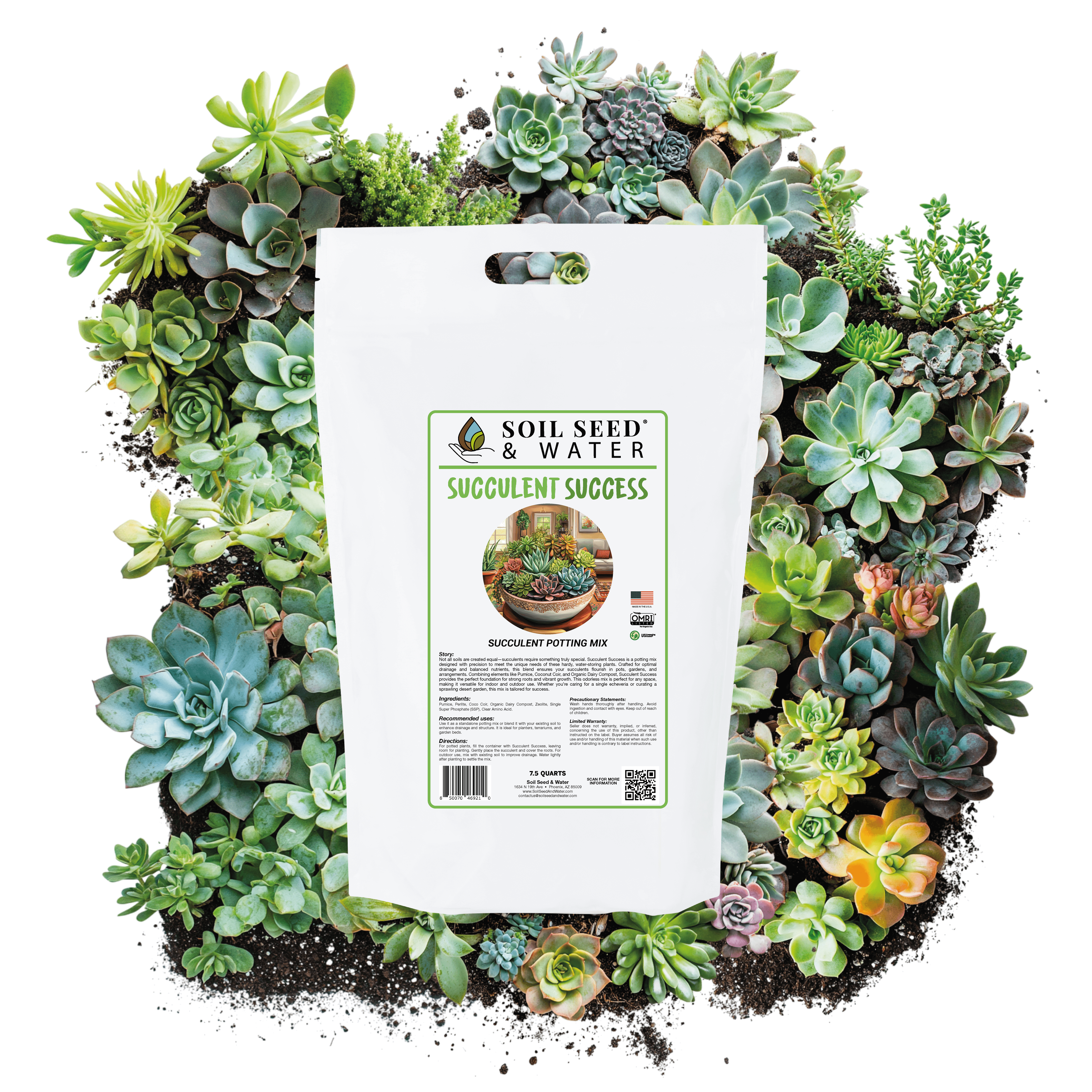 where to buy potting soil for succulents Succulent Success