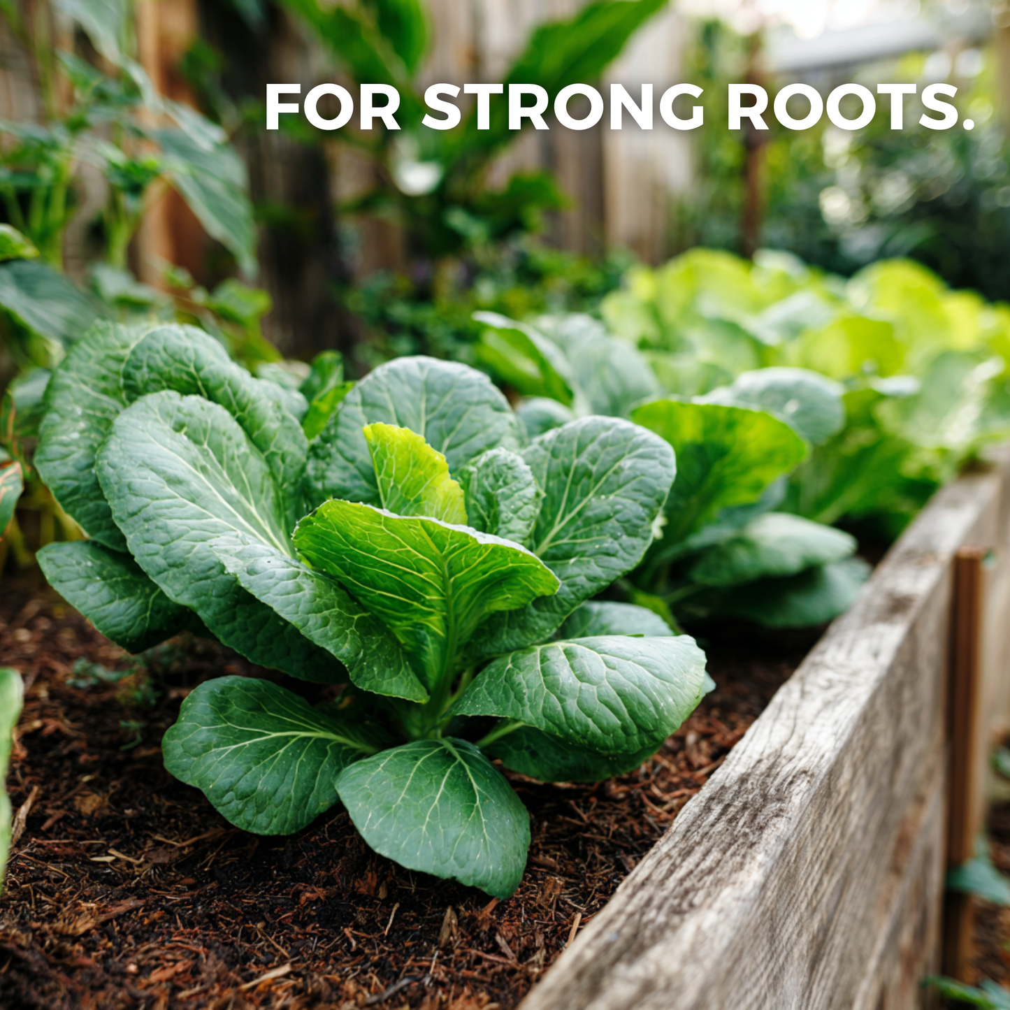 Stoned Ape's Blend Concentrated Organic Soil Amendment Fertilizer and Mycorrhizal Root Enhancer