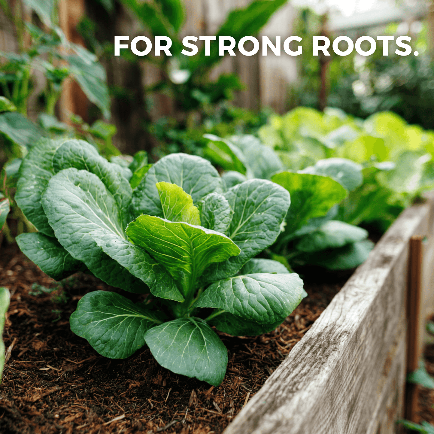 Stoned Ape's Blend Concentrated Organic Soil Amendment Fertilizer and Mycorrhizal Root Enhancer