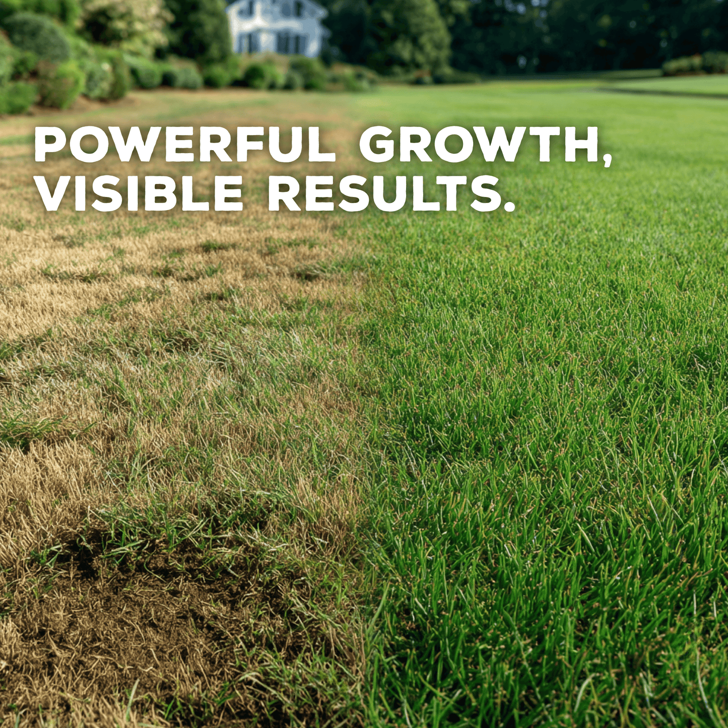 Turf Daddy Concentrated Organic Soil Amendment Fertilizer