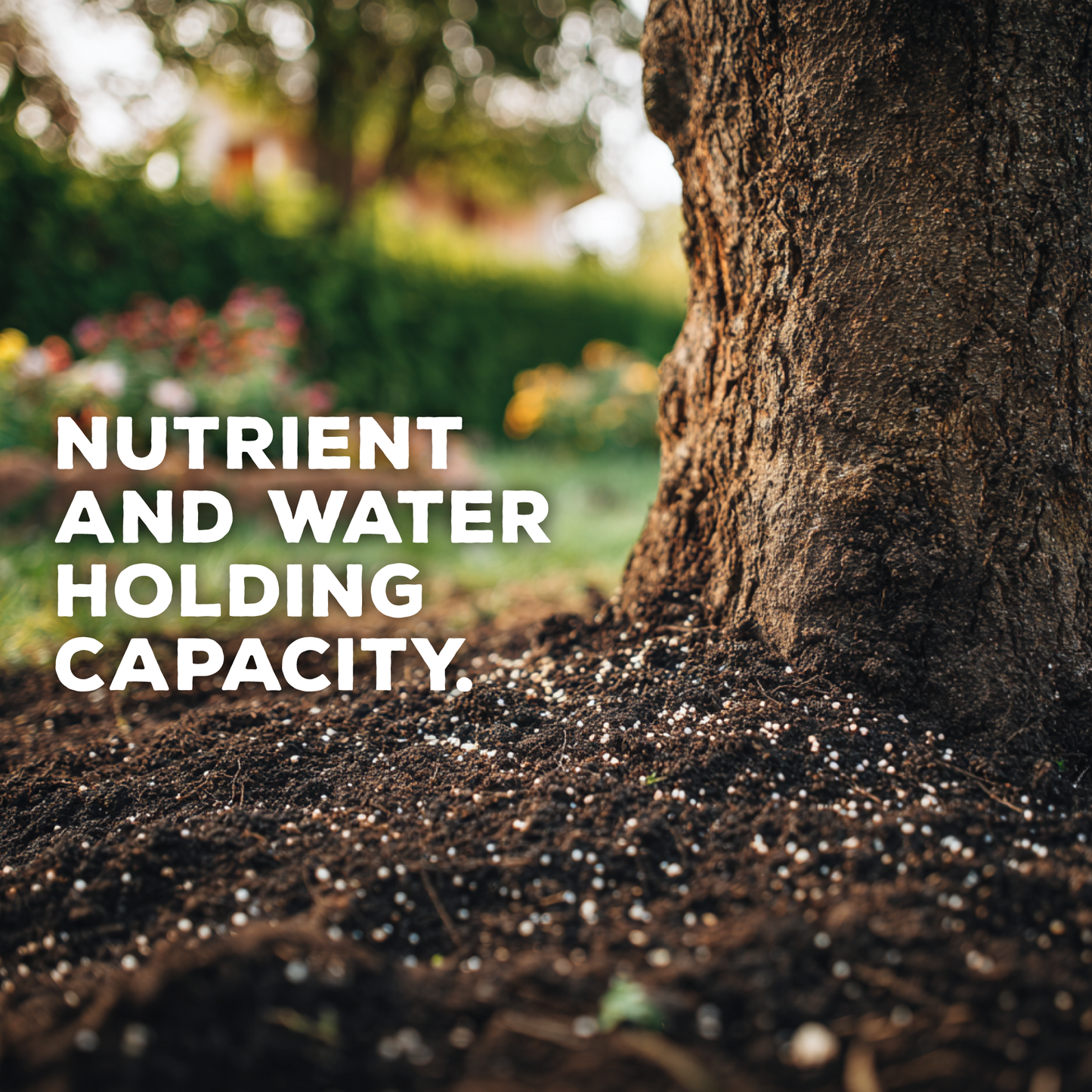 Zeolite: Natural Mineral Soil Conditioner