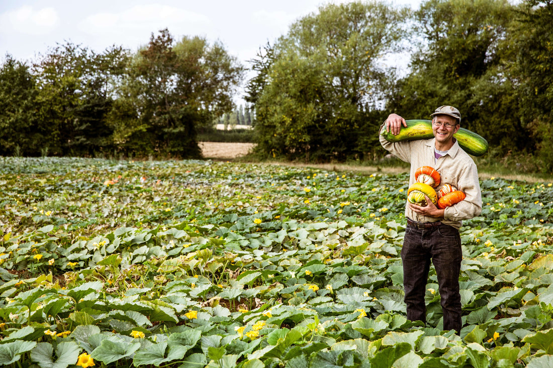 Organic Planting Guide: Eggplant and Squash Cultivation in the United States