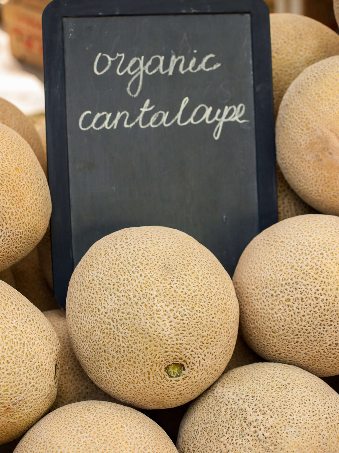 The Best Way to Plant Cantaloupe Organically in the US