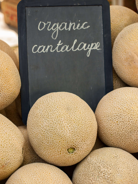 The Best Way to Plant Cantaloupe Organically in the US
