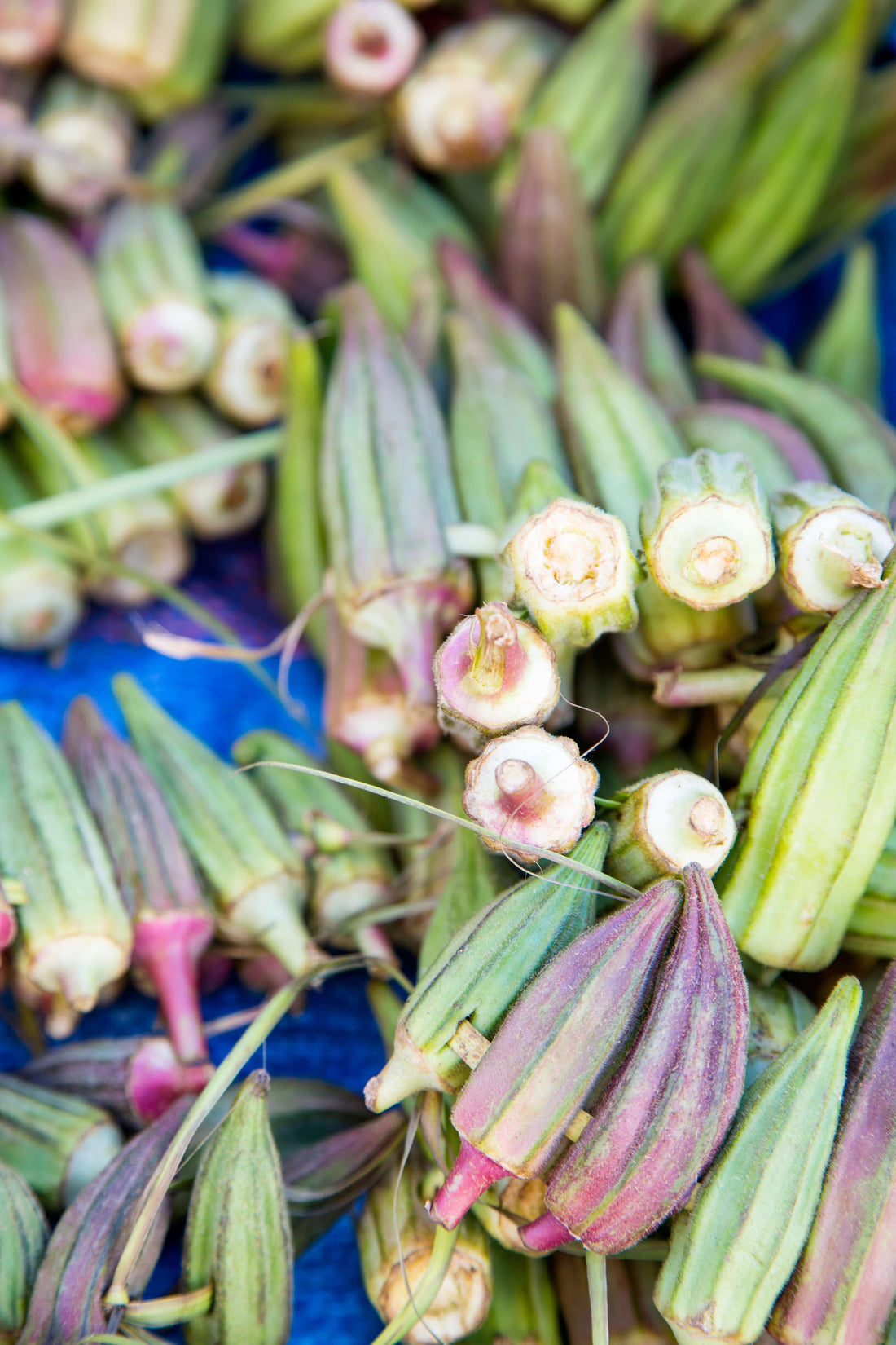 Discover the Most Effective Techniques for Organic Okra Farming in the United States