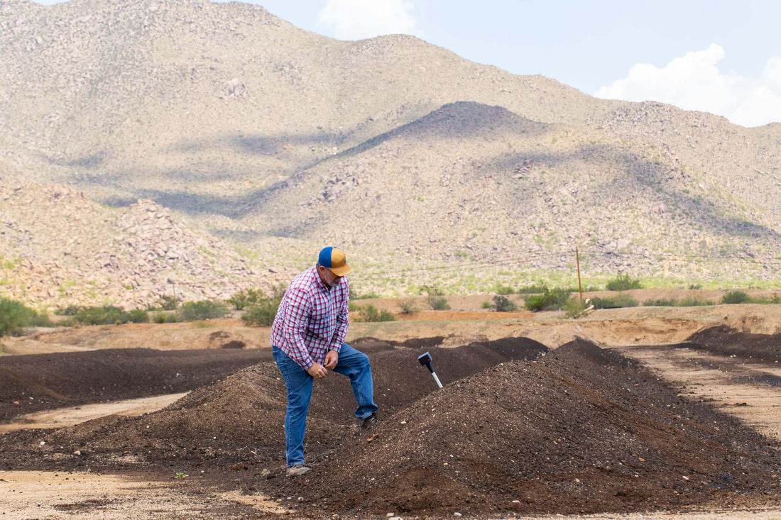 How Organic Fertilizers Help Boost Nutrient Absorption