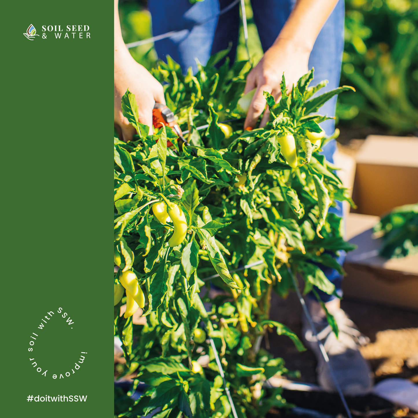 Ready Go Garden Organic Potting Soil