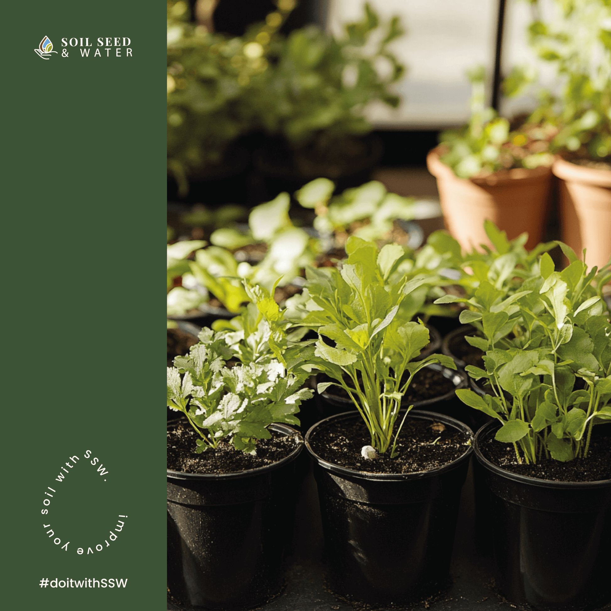 plant and seed nursery PlantPal