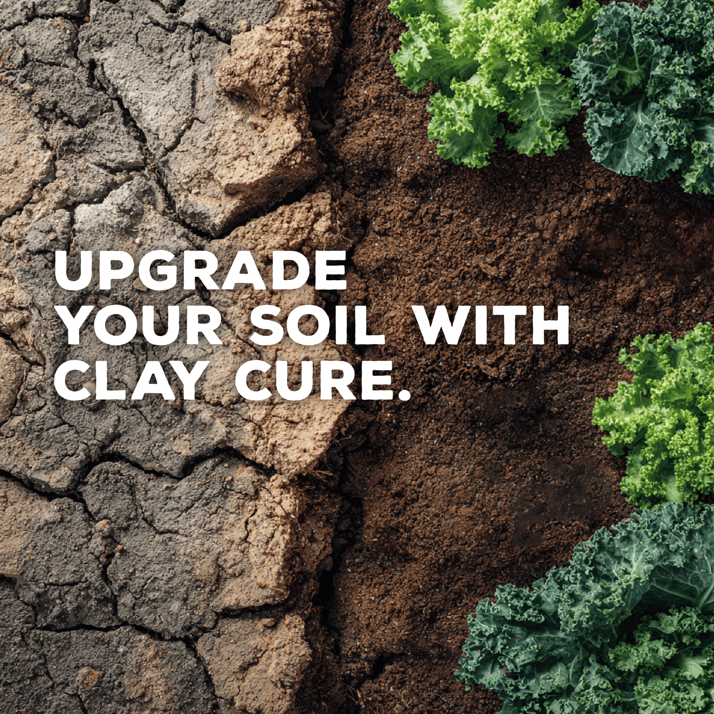 Clay Cure: Clay Soil Drought Blend for Improved Soil Balance