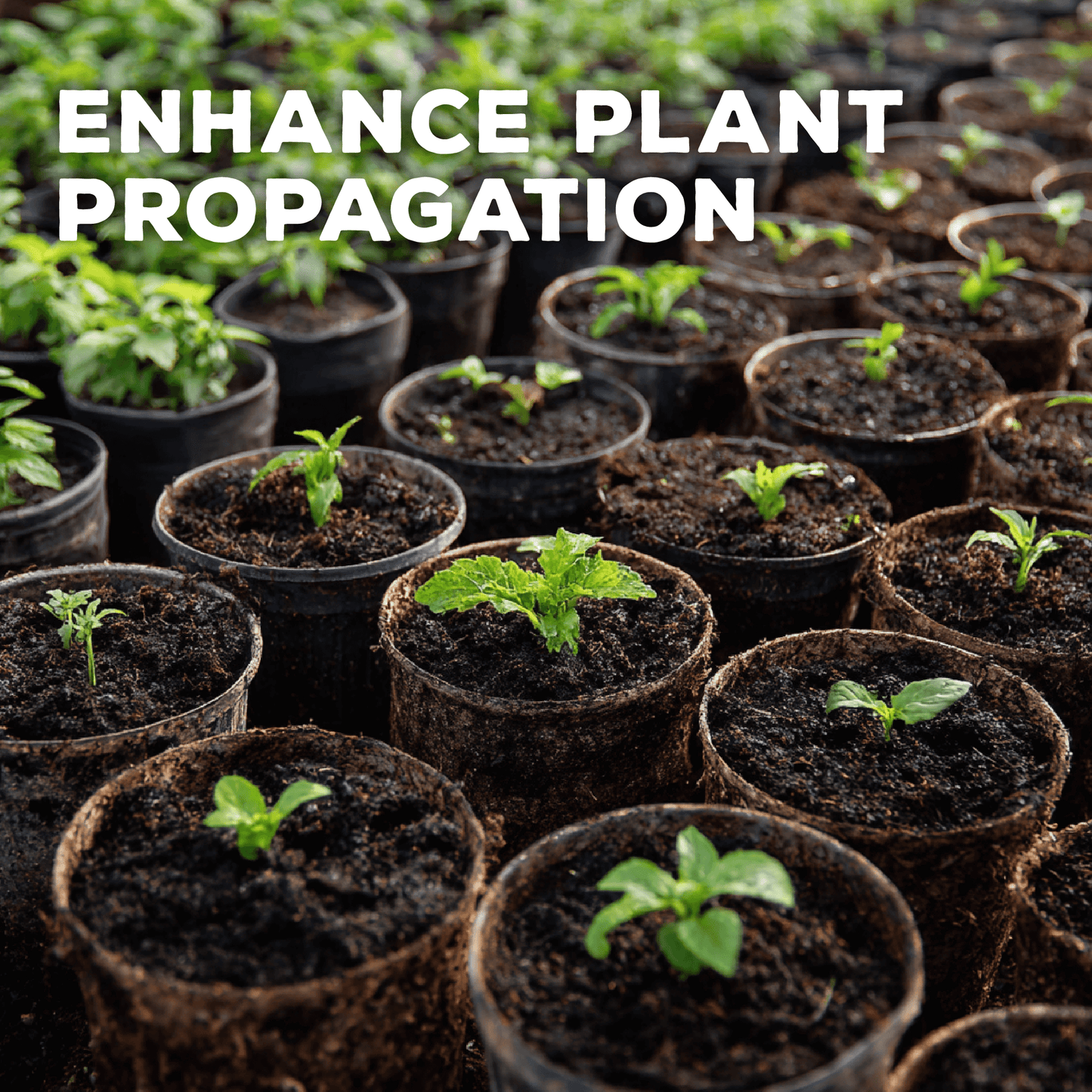 PropaGrow