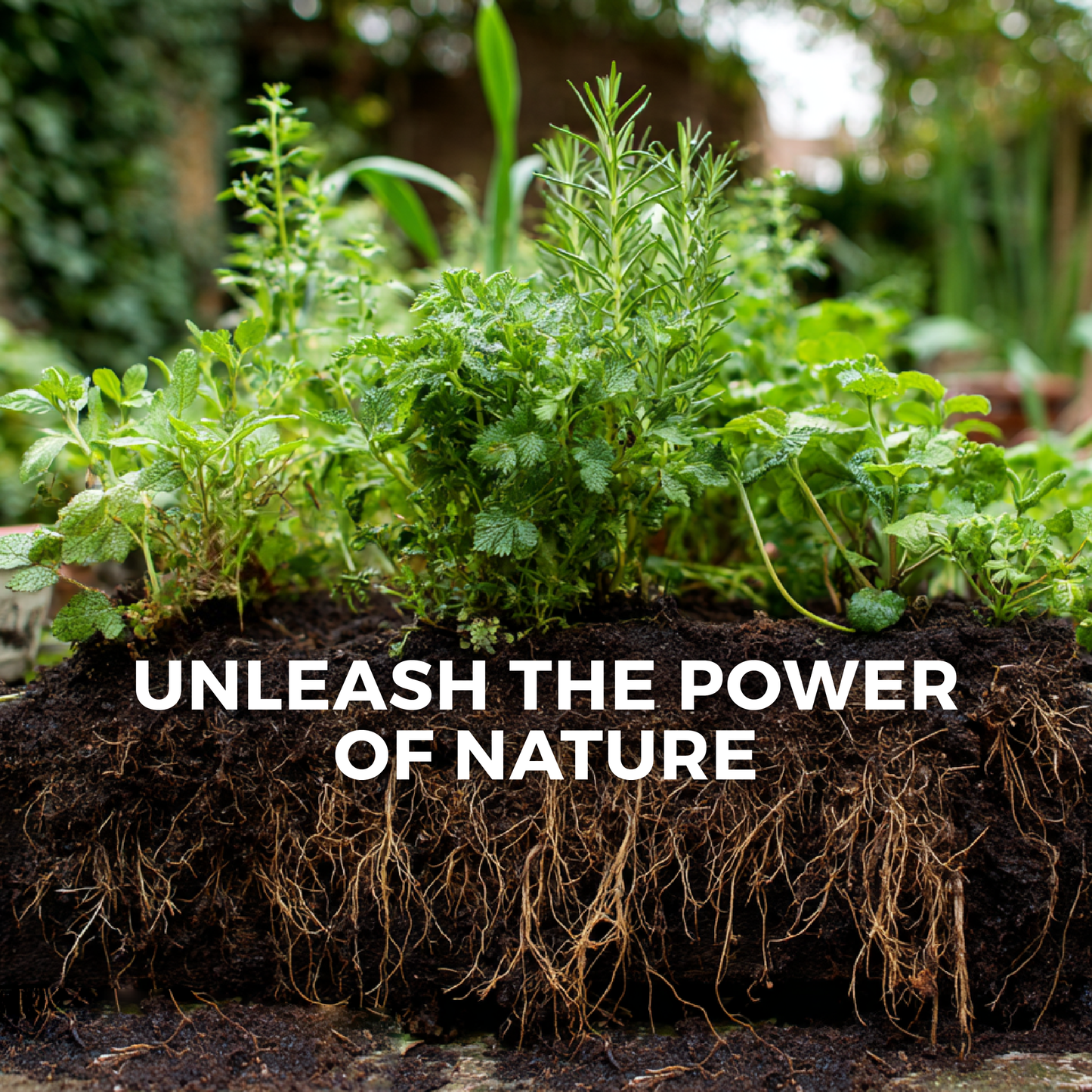 Stoned Ape's Blend Concentrated Organic Soil Amendment Fertilizer and Mycorrhizal Root Enhancer