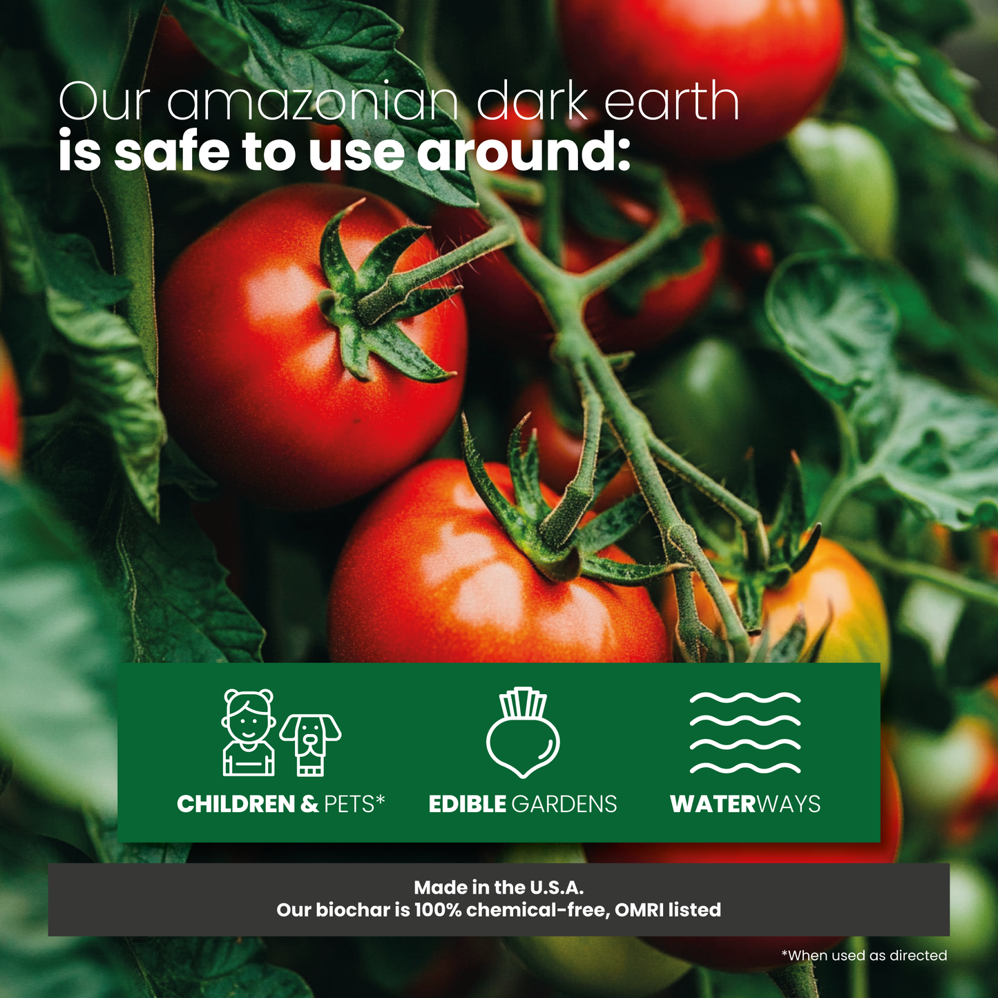 Amazonian Dark Earth Organic Soil Amendment Fertilizer Biochar & Minerals