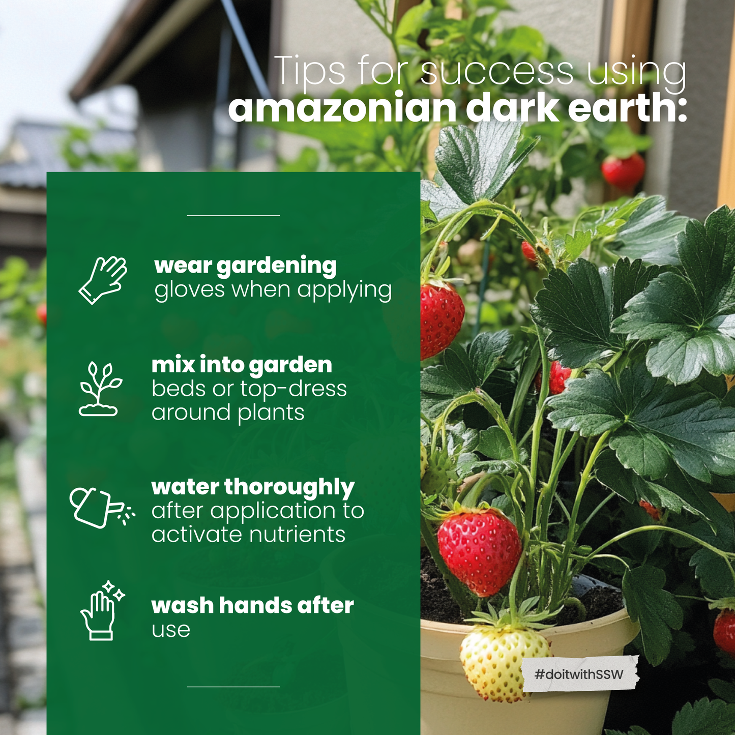 Amazonian Dark Earth Organic Soil Amendment Fertilizer Biochar & Minerals