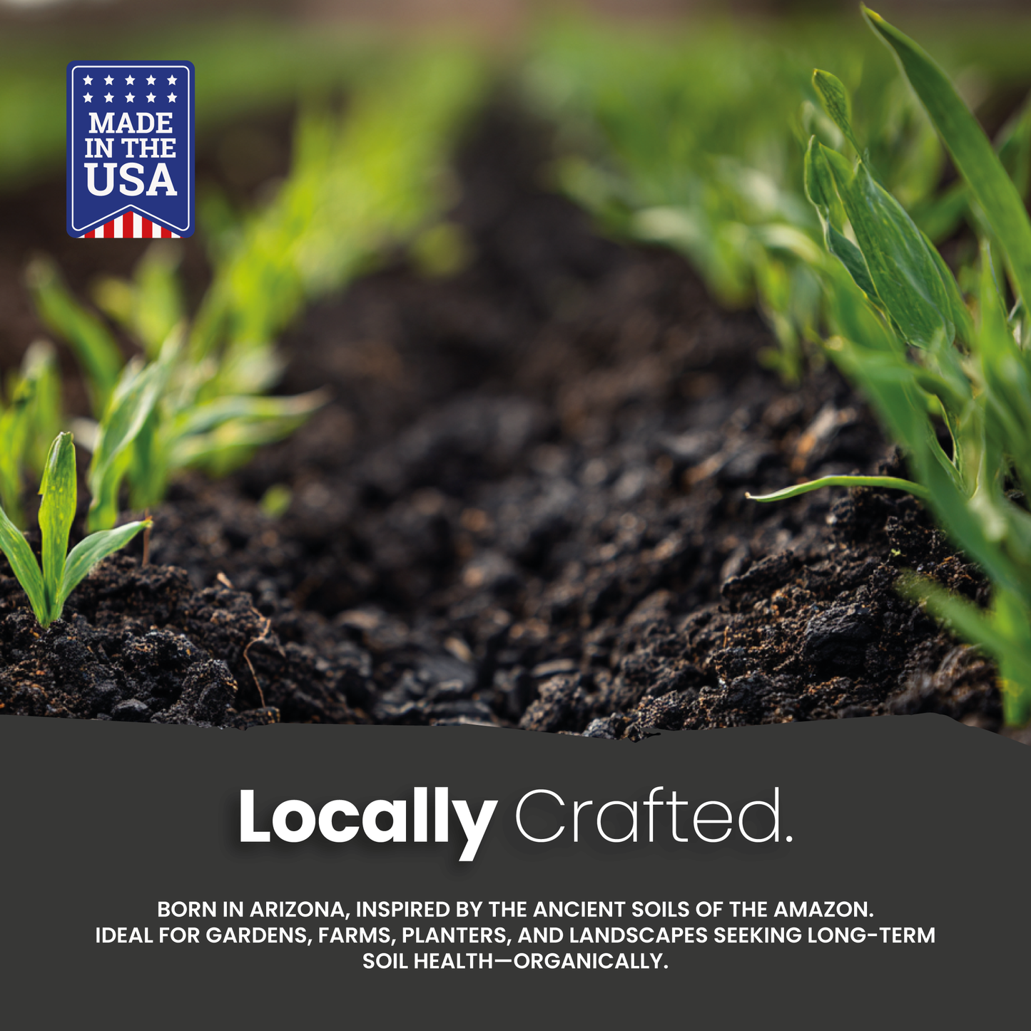 Amazonian Dark Earth Organic Soil Amendment Fertilizer Biochar & Minerals