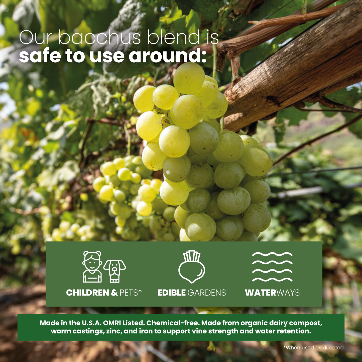 Bacchus Concentrated Organic Soil Amendment Fertilizer for Grape vines