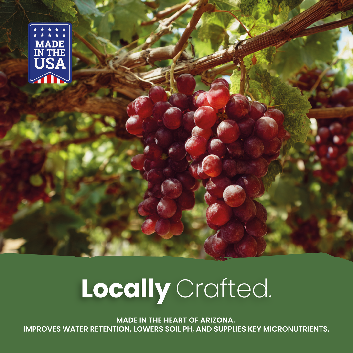 Bacchus Concentrated Organic Soil Amendment Fertilizer for Grape vines