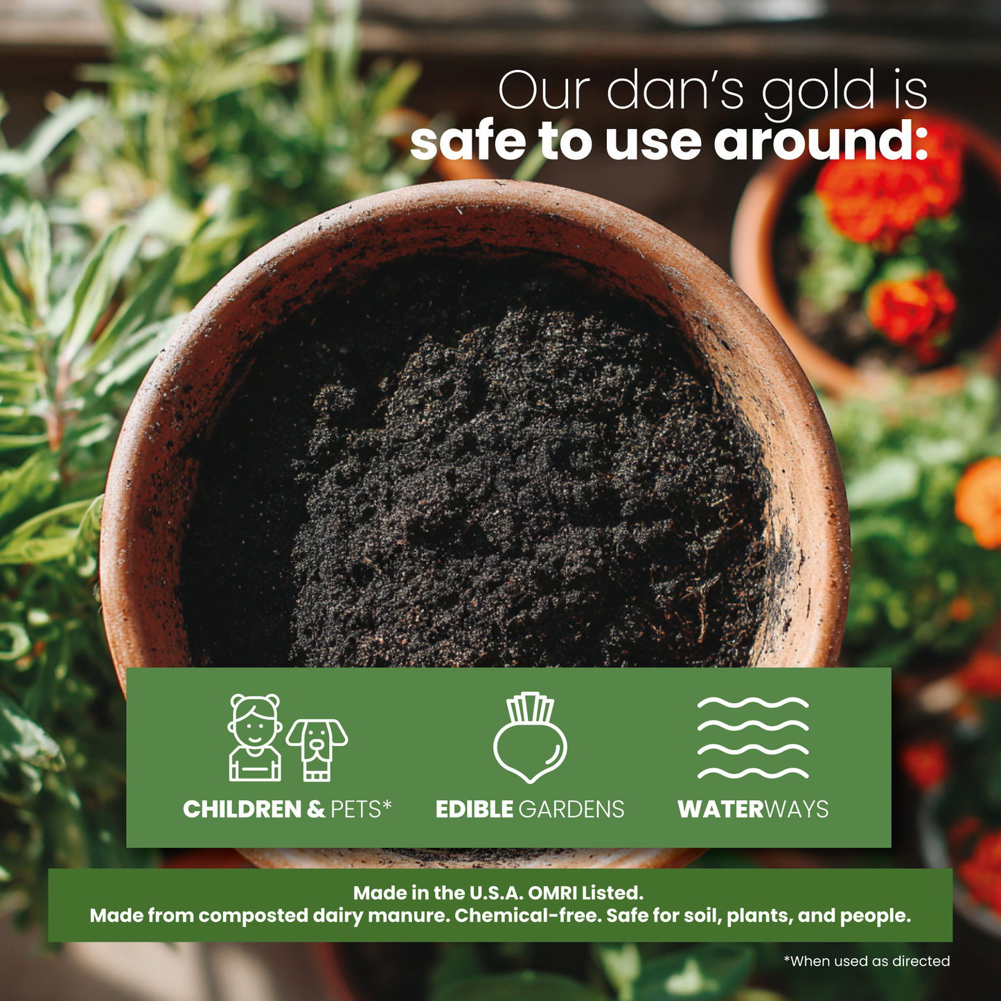 Dan's Gold Organic Dairy Compost