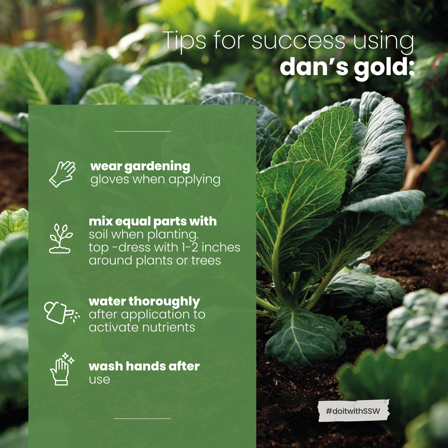 Dan's Gold Organic Dairy Compost