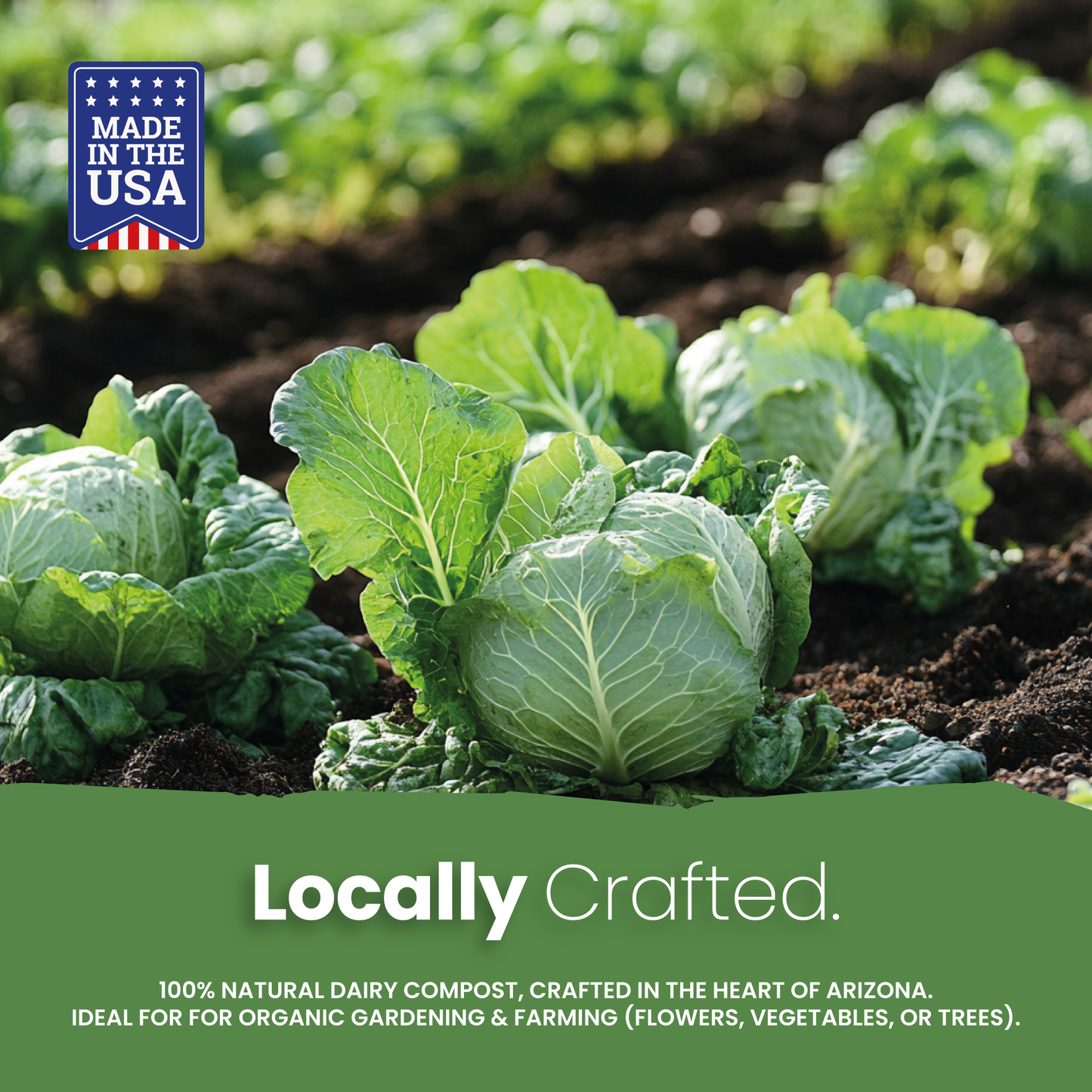 Dan's Gold Organic Dairy Compost