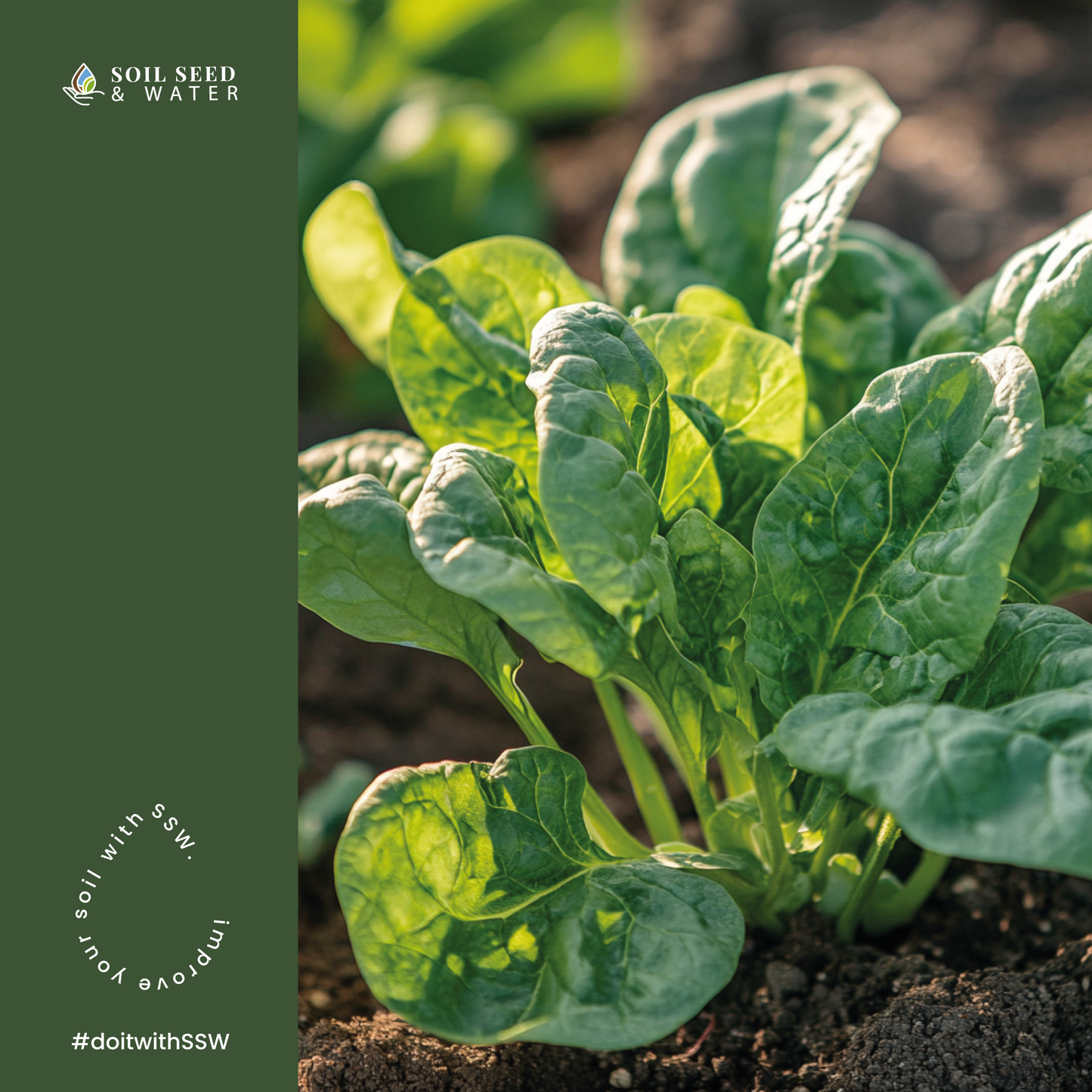 SuperBooster Concentrated Organic Soil Amendment Fertilizer