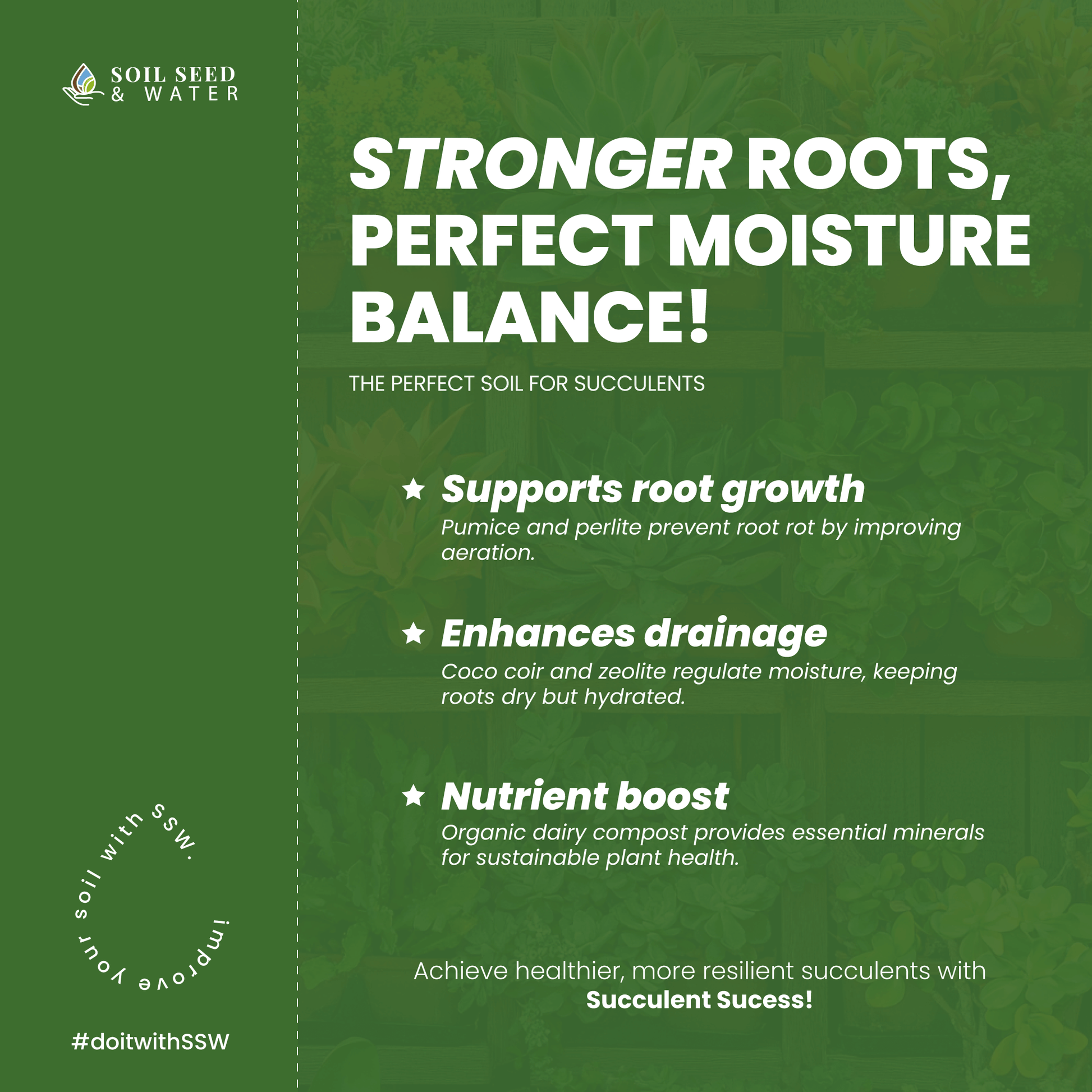 is moisture control soil good for succulents Succulent Success