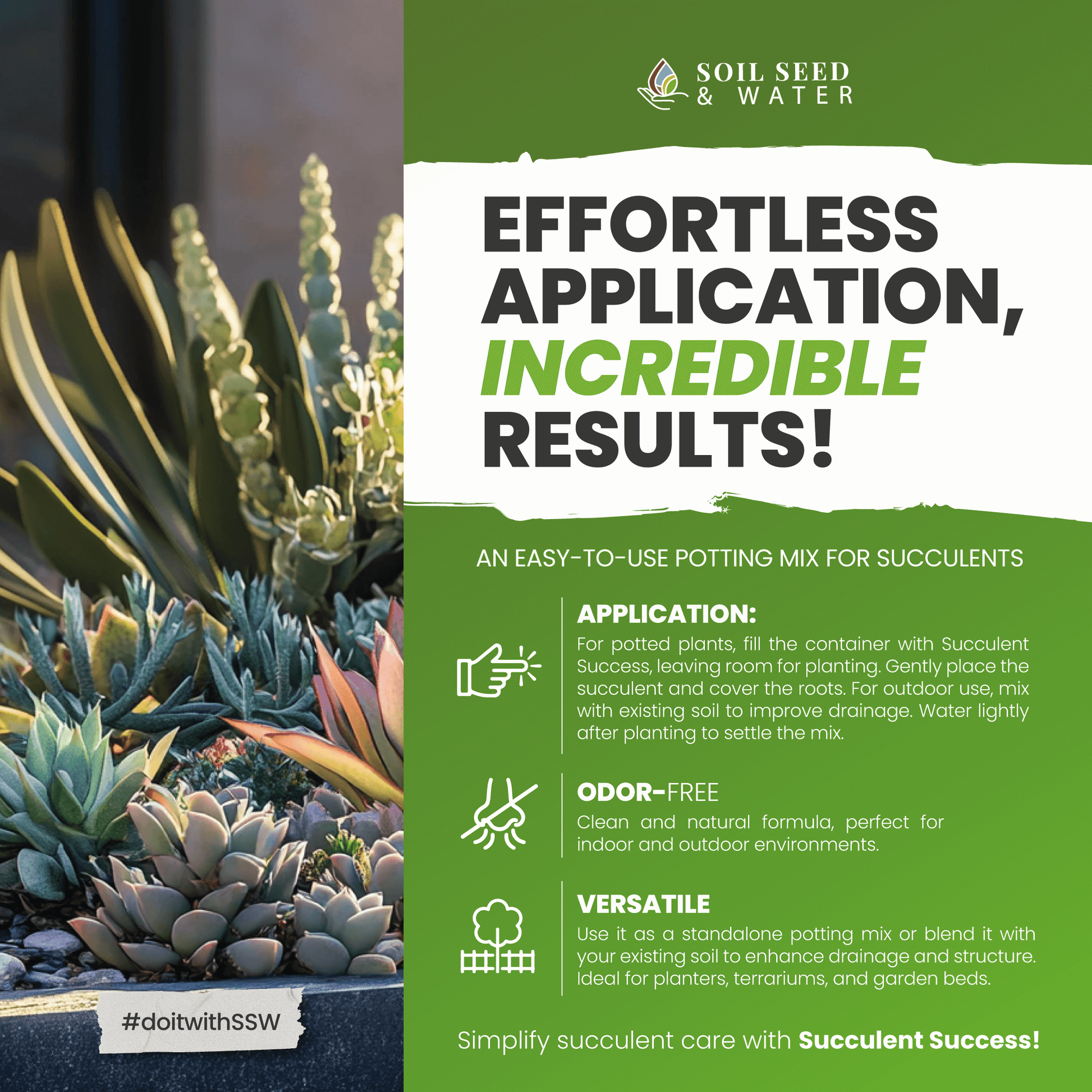 succulent potting mix amazon Succulent Success - Succulent Potting Mix