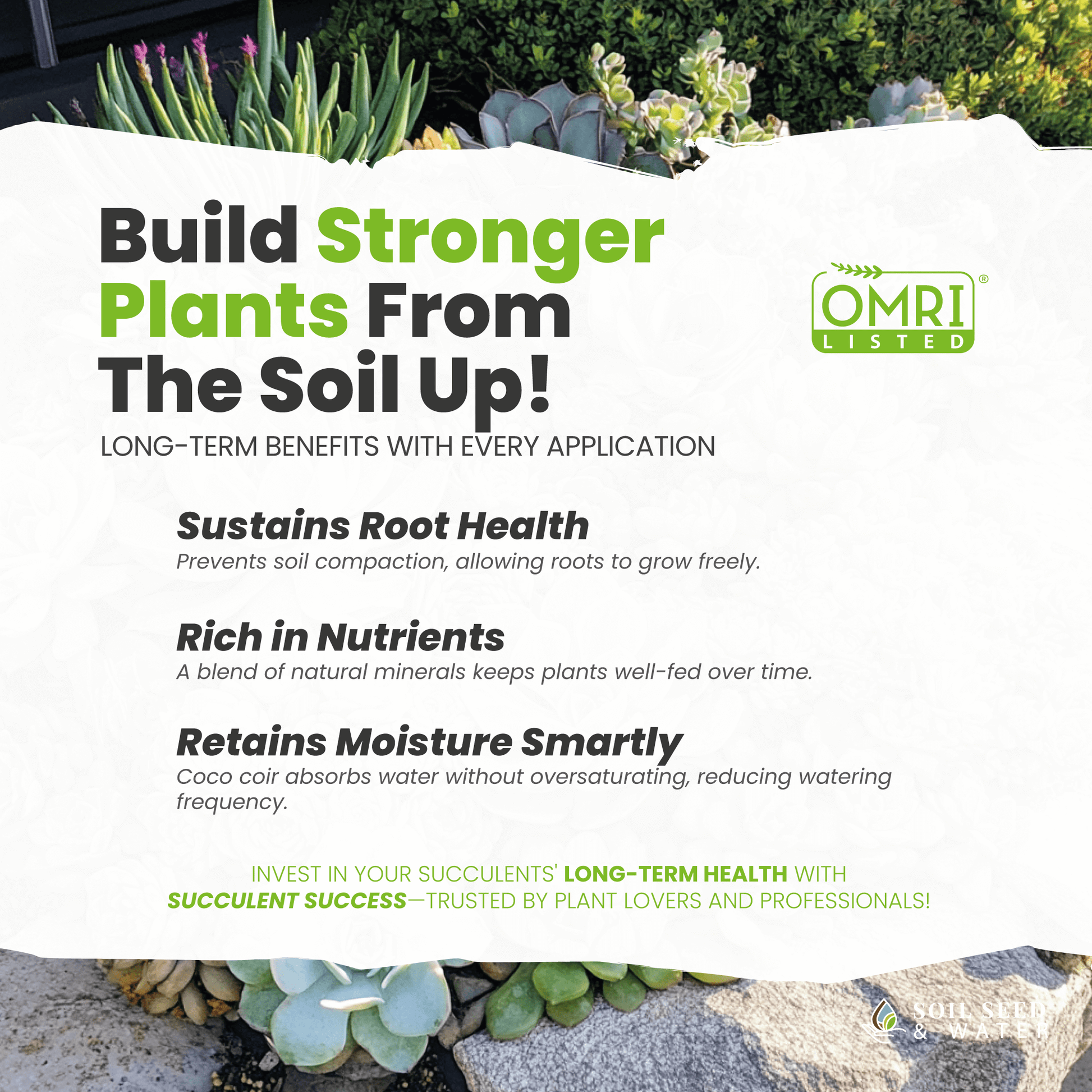 which soil for succulents Succulent Success - Succulent Potting Mix