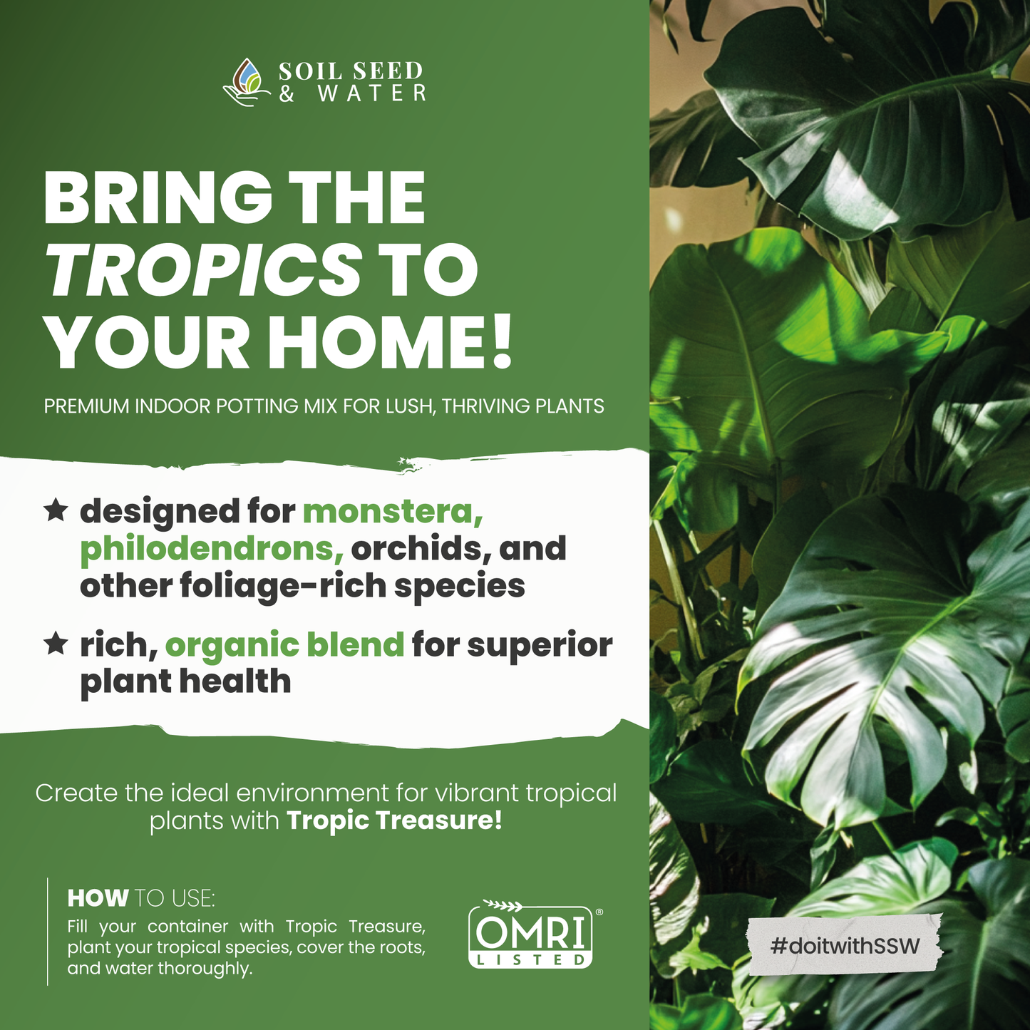 Tropic Treasure: Tropical Plant Interior Potting Mix