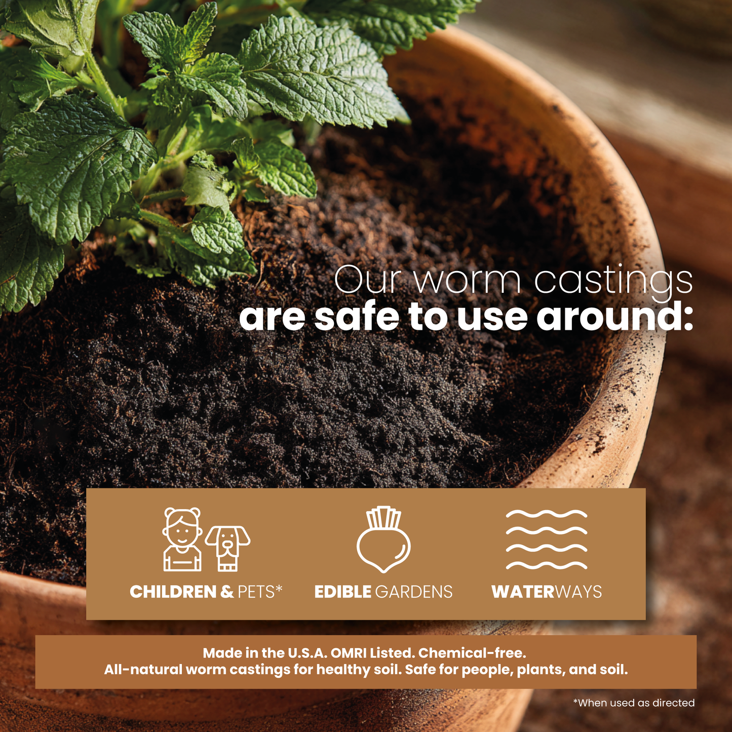 Mikey's Worm Poop Organic Dairy Vermicompost Worm Castings