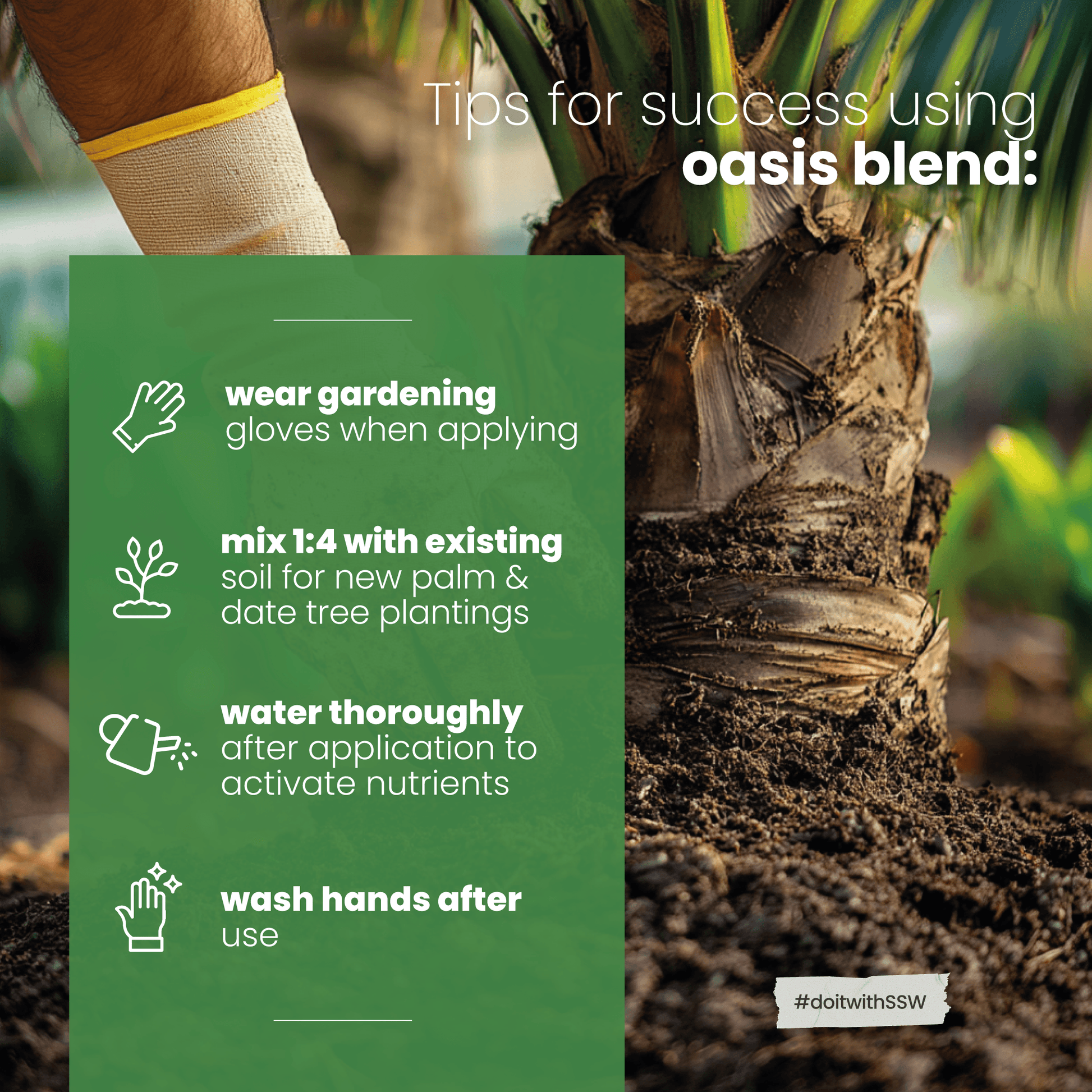oasis plant fertilizer 10-15-30 Oasis Blend Concentrated Organic Soil Amendment Fertilizer for Palm & – Soil Seed & Water