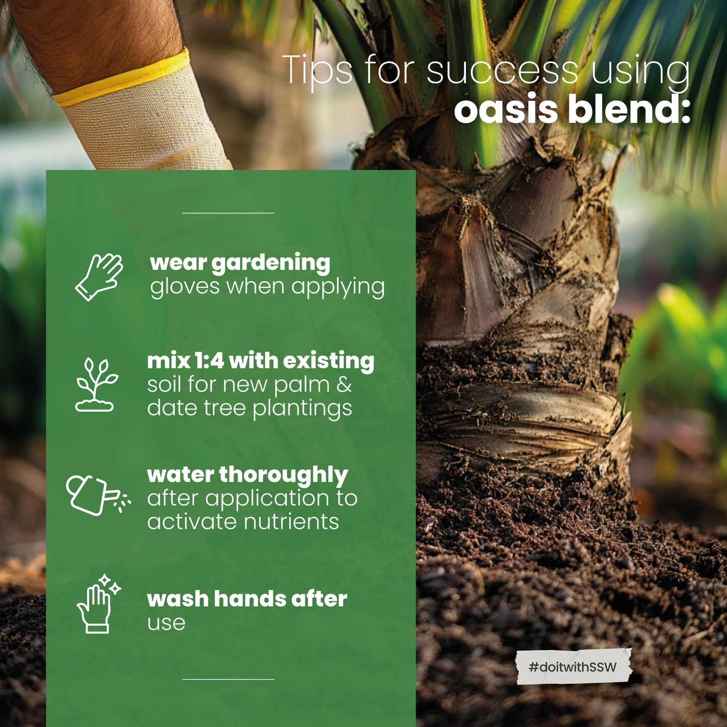 Oasis Blend Concentrated Organic Soil Amendment Fertilizer for Palm & Date trees