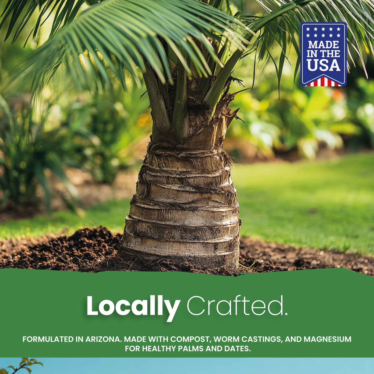 Oasis Blend Concentrated Organic Soil Amendment Fertilizer for Palm & Date trees