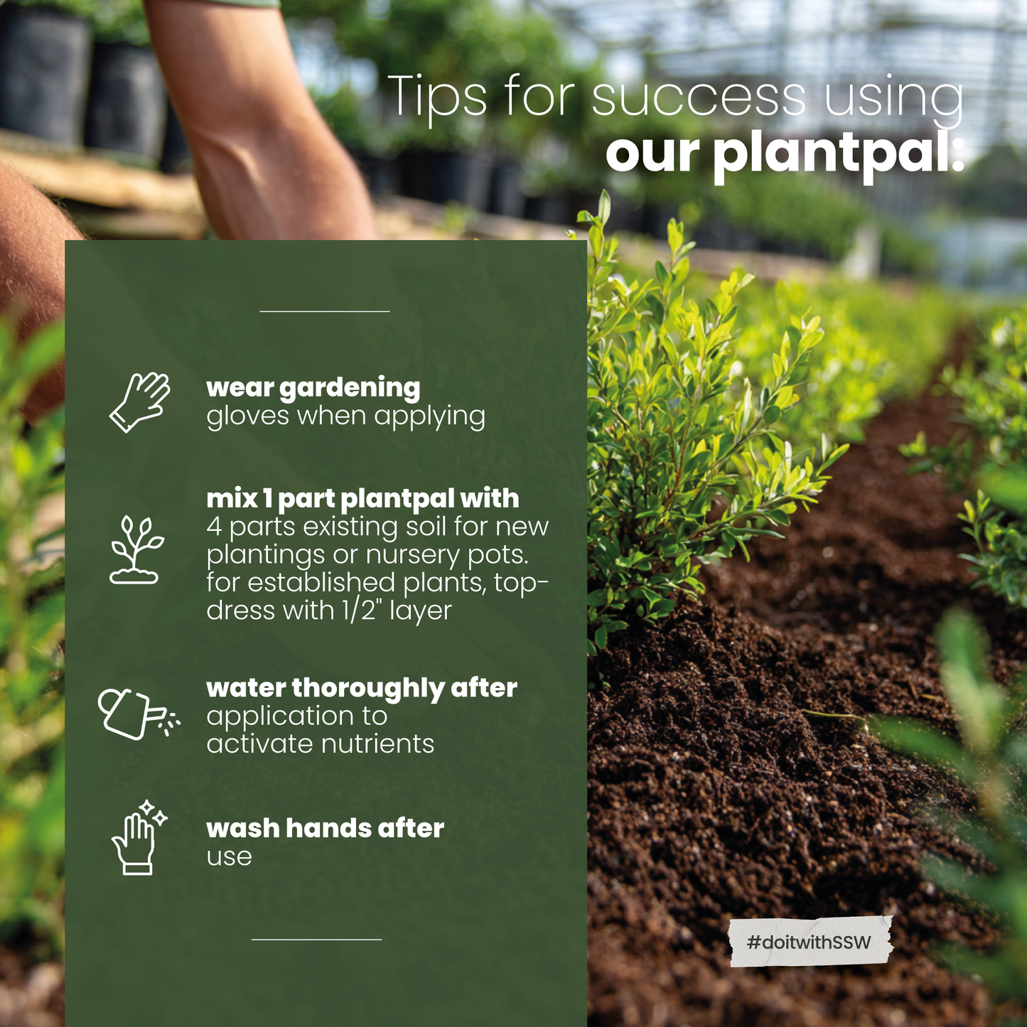 PlantPal: All-Stage Nursery Mix