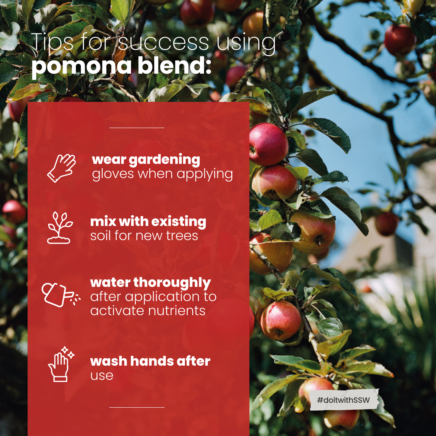 Pomona Blend Concentrated Organic Soil Amendment Fertilizer for Pome & Stone Fruit Trees
