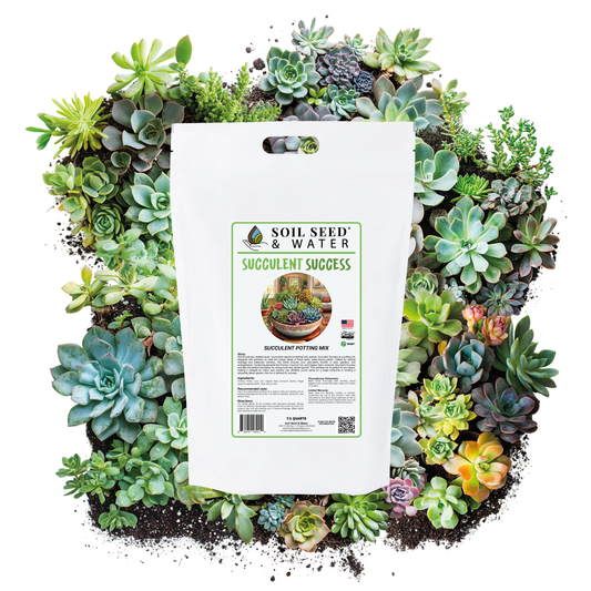 Succulent Success: Succulent Potting Mix