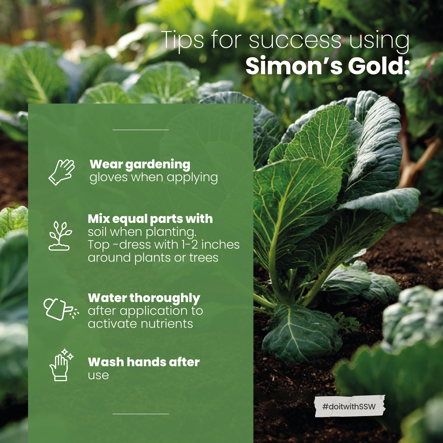 Simon's Gold Organic Dairy Compost